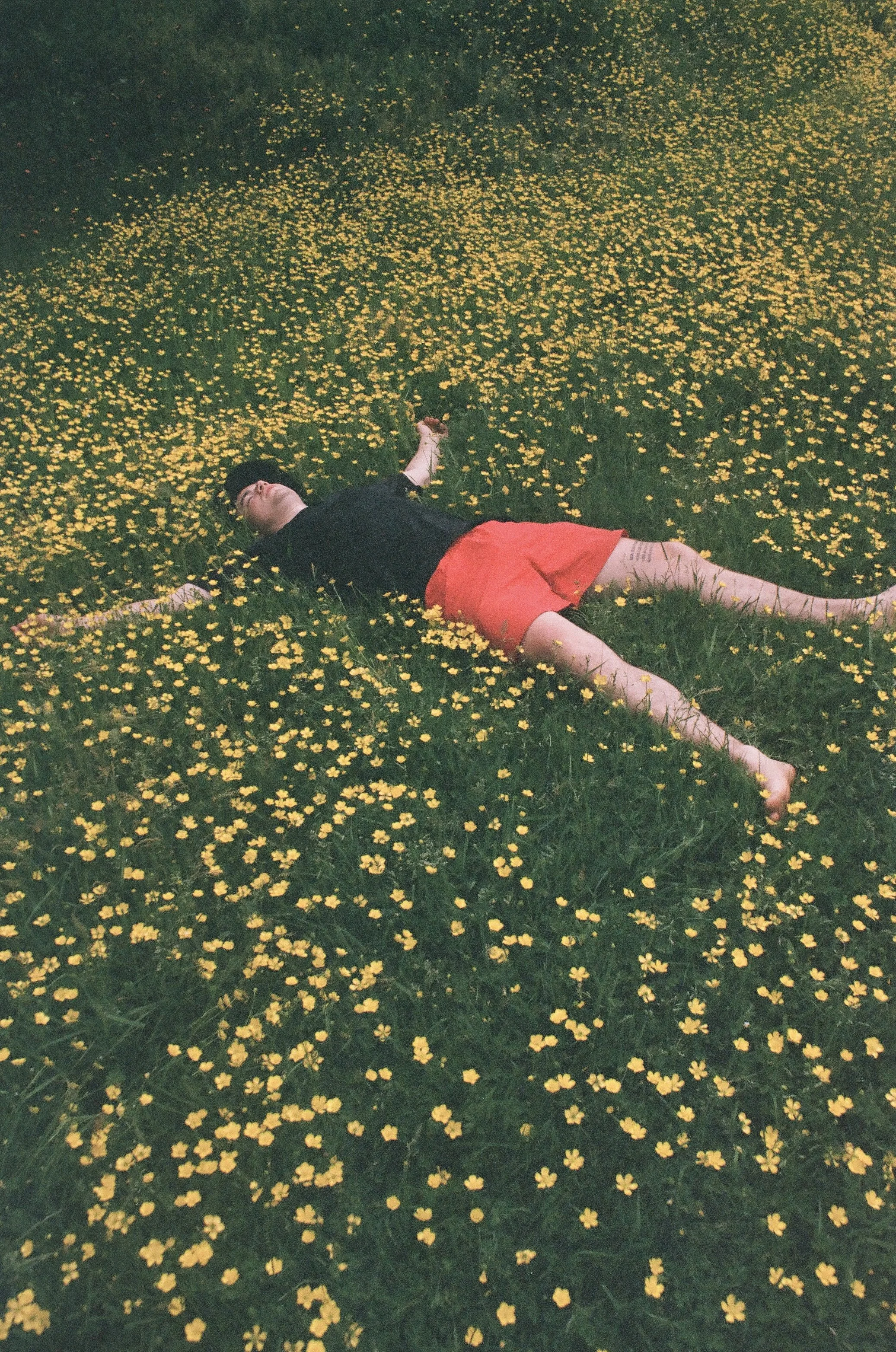 Une personne allongée sur l'herbe entourée de nombreuses fleurs jaunes.