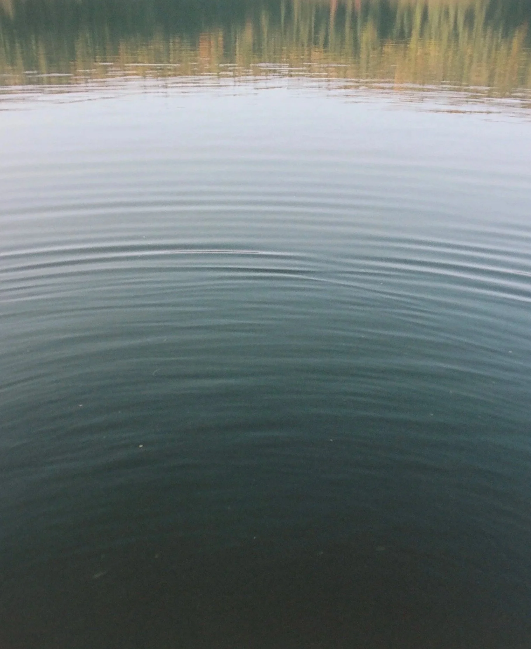 Surface calme d'un lac avec des légères ondulations et des arbres en reflet à l'horizon.