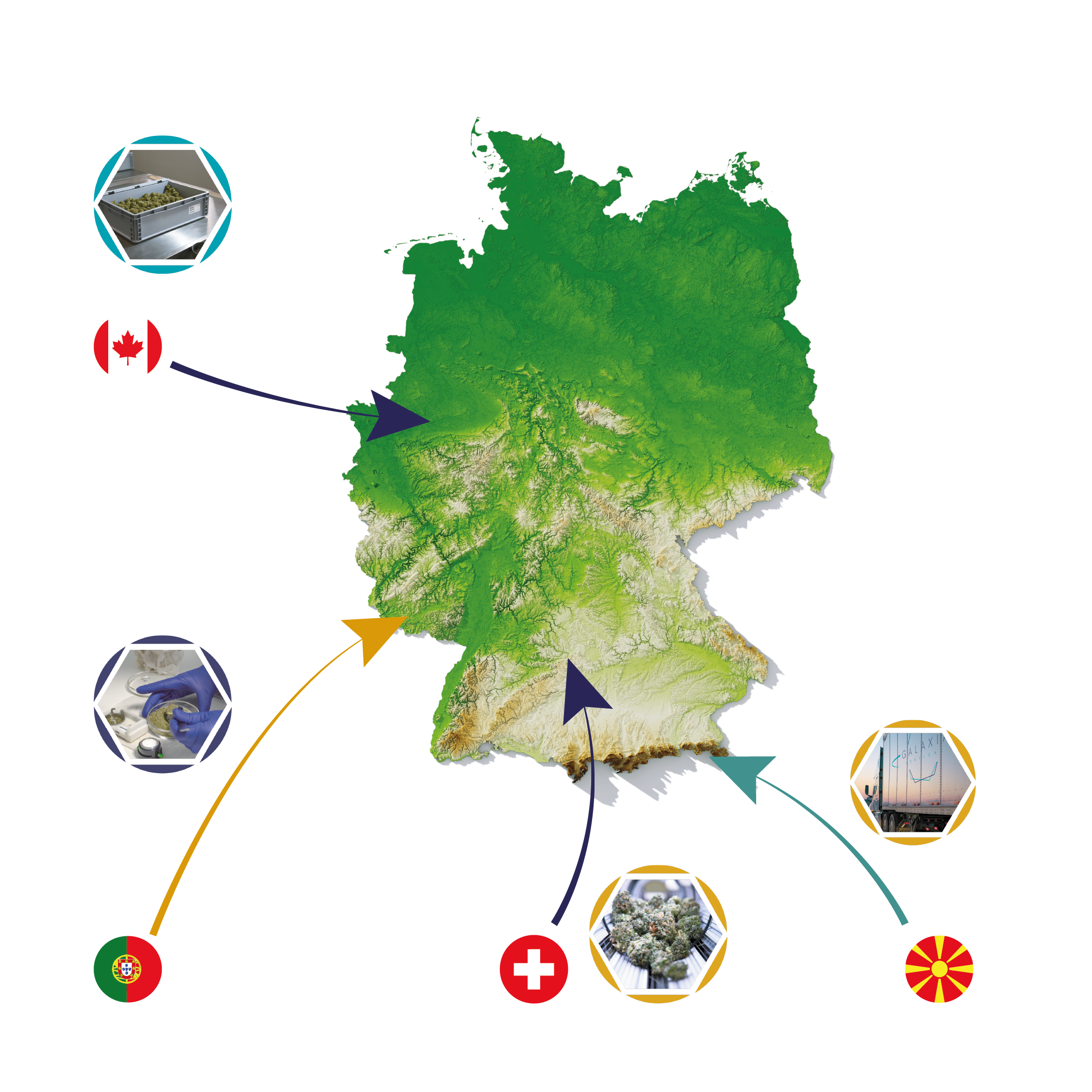Karte von Deutschland mit Markierungen für den Export und Import von medizinischem Cannabis und Hanf, einschließlich Abbildungen von Hanfblüten, wissenschaftlicher Forschung, Transportfahrzeugen und Apothekenprodukten.
