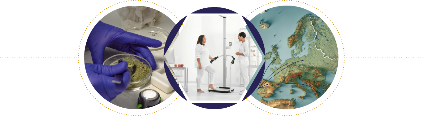 Das Bild zeigt eine Akademie für medizinische Forschung in Europa mit wissenschaftlichen Aspekten – eine Hand in blauer Schutzhandschuhen, die eine Petrischale mit grünem Kulturen hält, im Zentrum Laufband- und Ernährungstest mit einem Arzt bei der Durchführung eines Tests, und eine Karte Europas mit Pfeilen, die europäische Standorte für medizinische Forschung markieren.