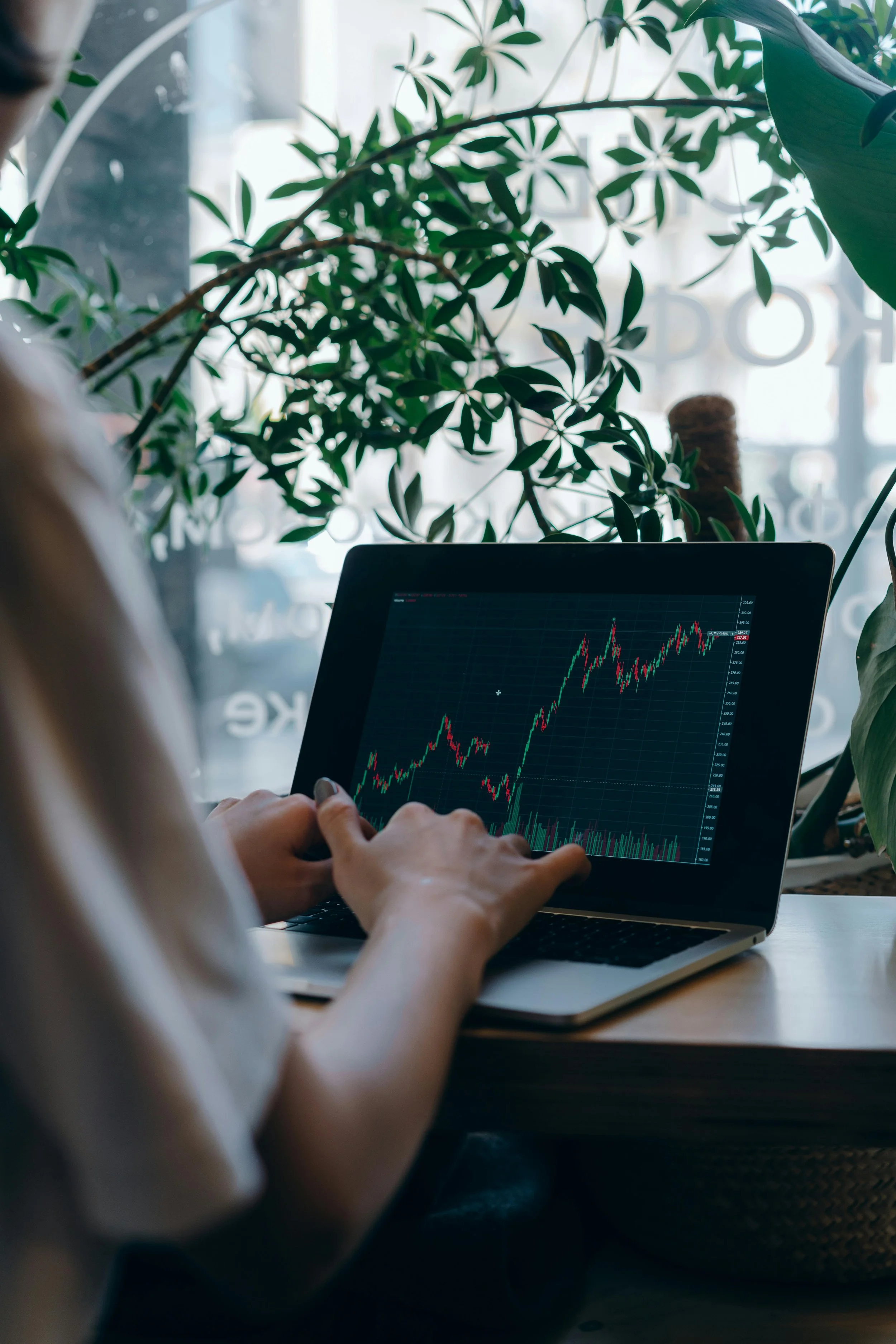 Person analyzing stock market graph on a laptop in a space with large indoor plants.