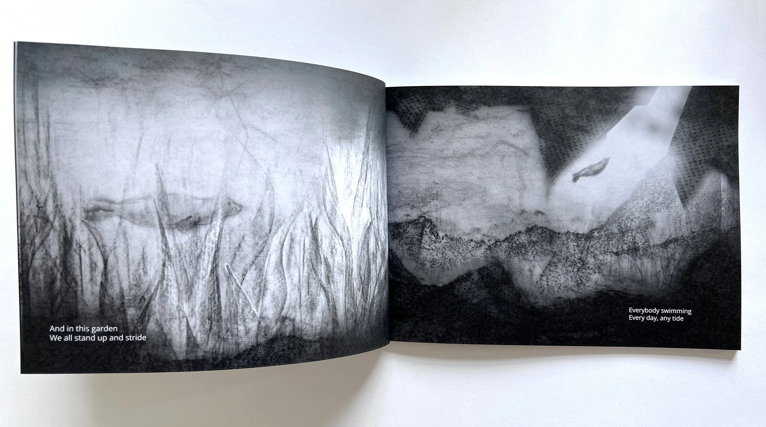 inside spread 01.JPG