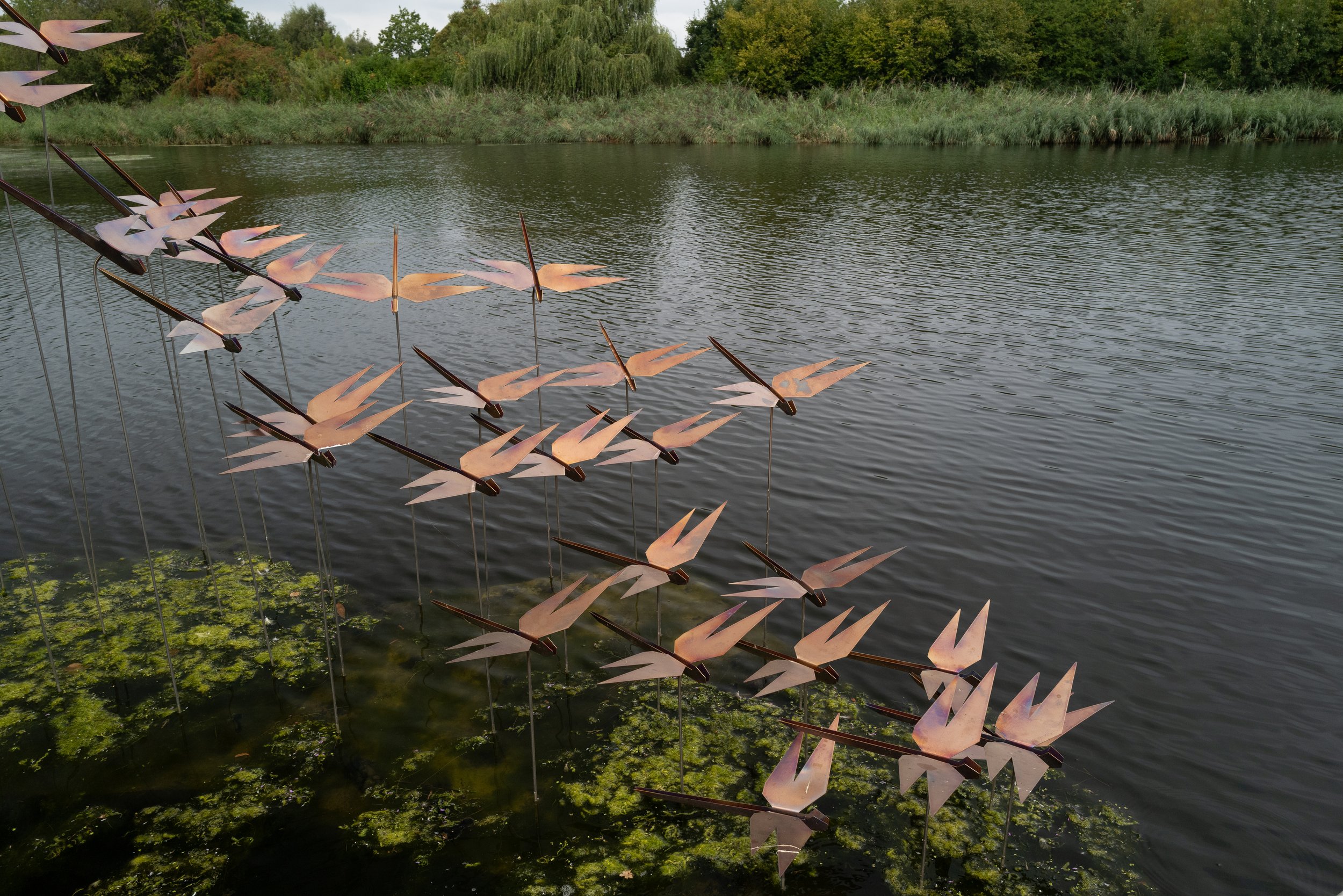 Iridescence-64 © Agnese Sanvito.JPG