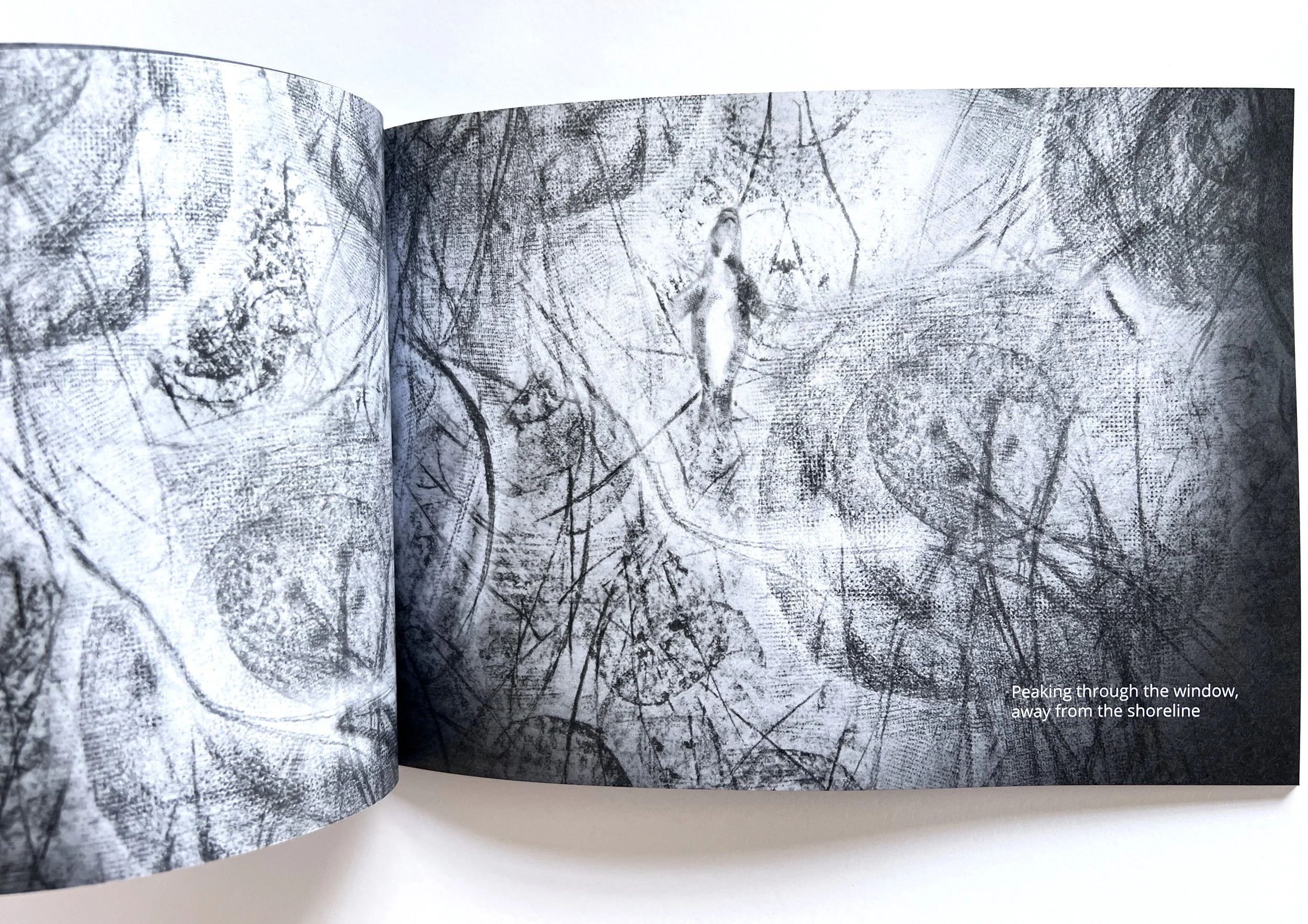 inside spread 03.JPG