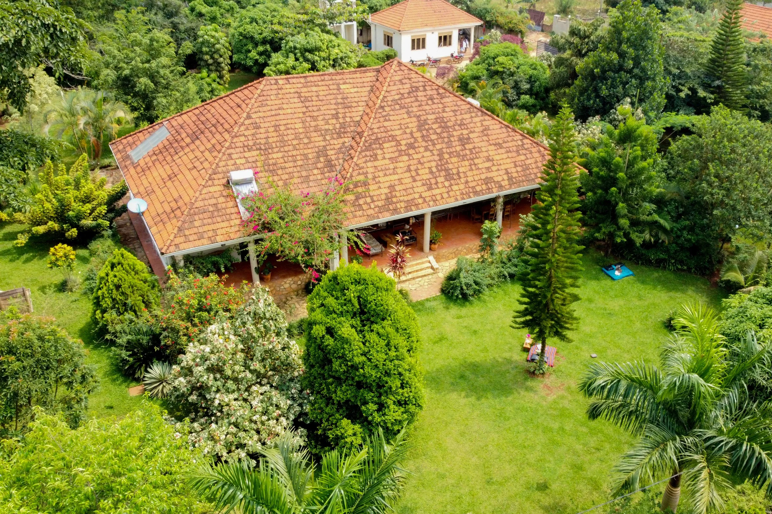 DJI_0521.JPG.jpeg