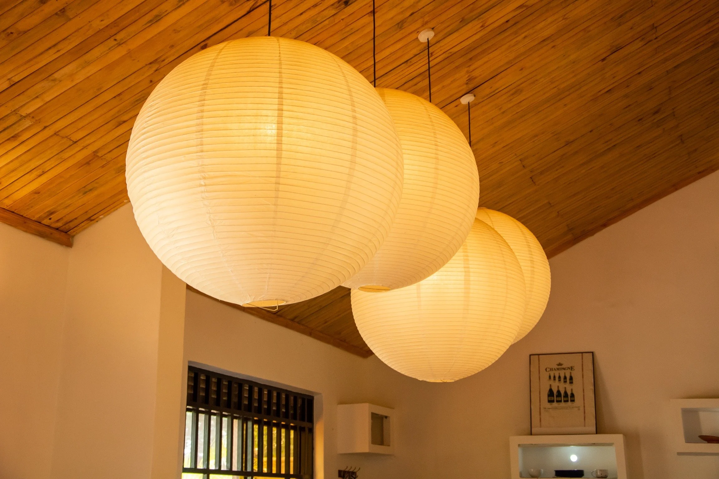 photo 06-02-2019, 14 34 25.jpeg