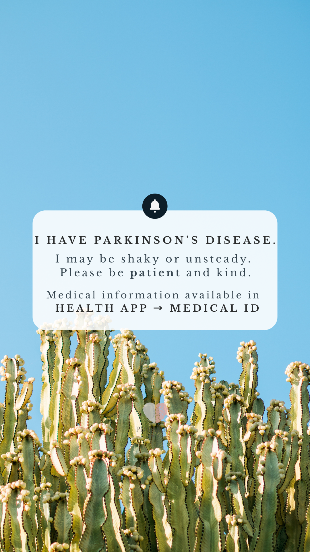 CACTUS LANDSCAPE IPHONE.png