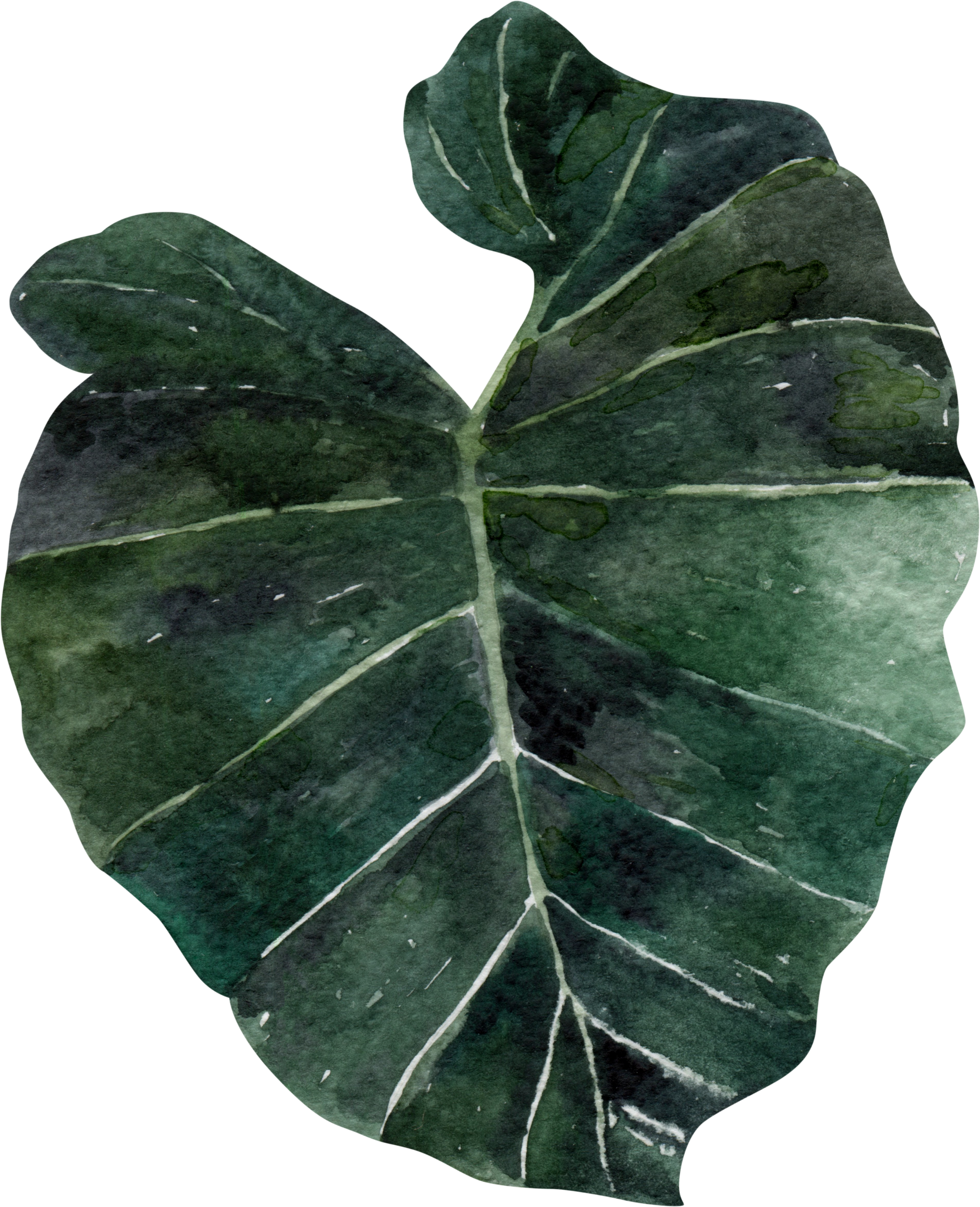 Dark monstera leaf icon representing Boutique Hospitality and Wellness — Gloria Black Design creates interiors for hotels, spas, wellness centers, and creative ventures seeking soul-driven design, luxury hospitality interior consultant Florida