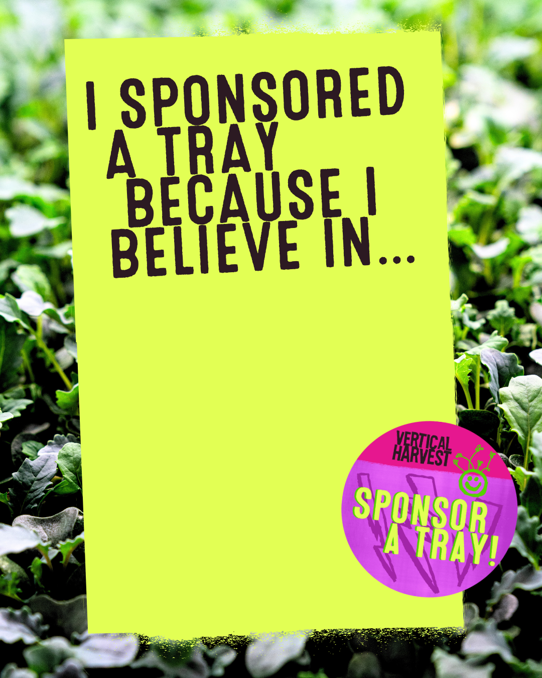 Sign that says, 'I sponsored a tray because I believe in...' with a purple circle in the bottom right corner stating, 'Vertical Harvest Sponsor a Tray!' viral fundraising graphic