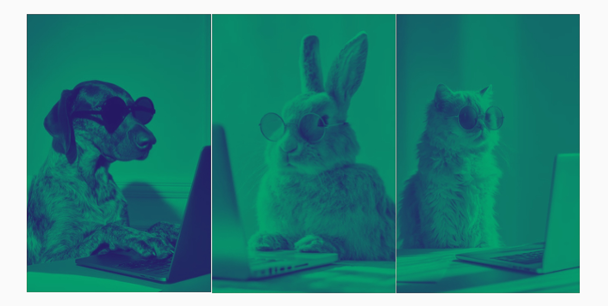 Three animals, a dog, a rabbit, and a cat, each wearing sunglasses and sitting in front of laptops, in a sequence of three frames.