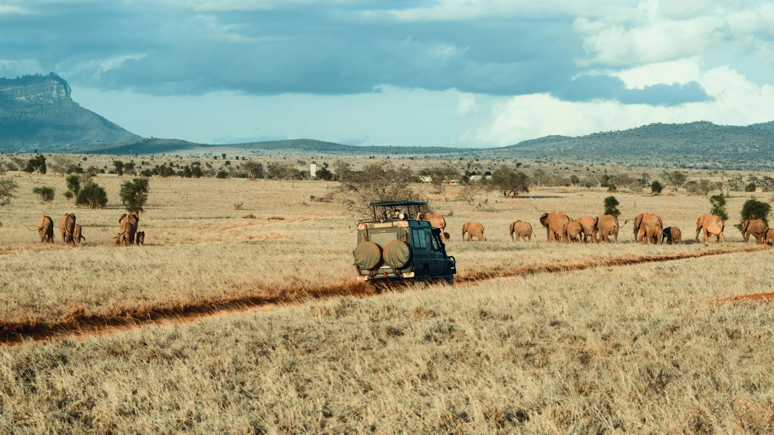 A safari vehicle driving on a dirt path through an open savanna with elephants grazing nearby. There are hills and mountains in the distance under a partly cloudy sky.