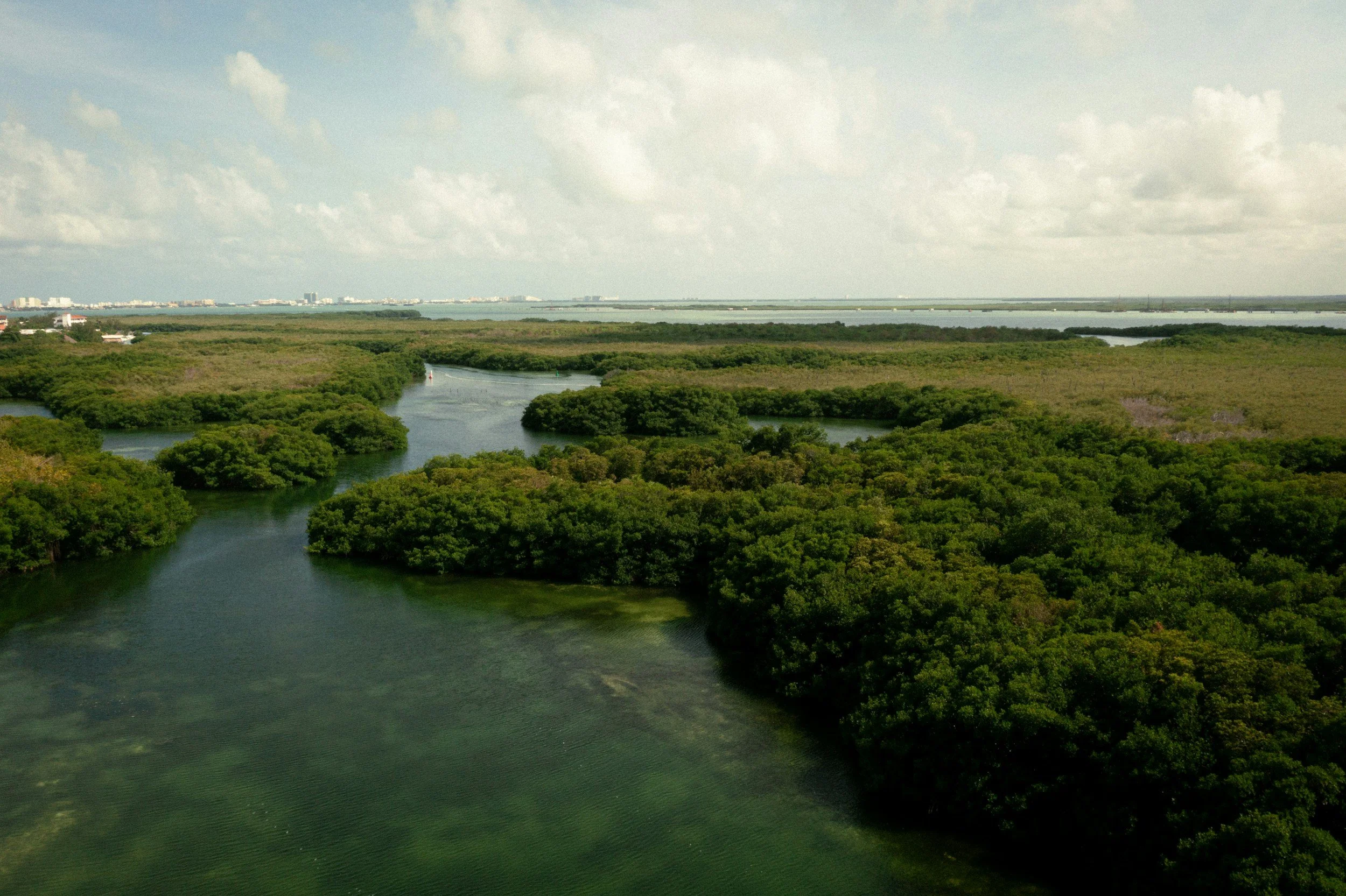 Aerial view of a winding river meandering through dense green wetlands, with a city skyline visible in the distance under a partly cloudy sky.