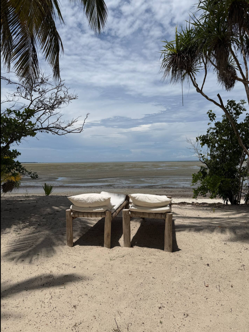 Two wooden loungers with white cushions on a sandy beach facing the ocean with palm trees and cloudy sky overhead.