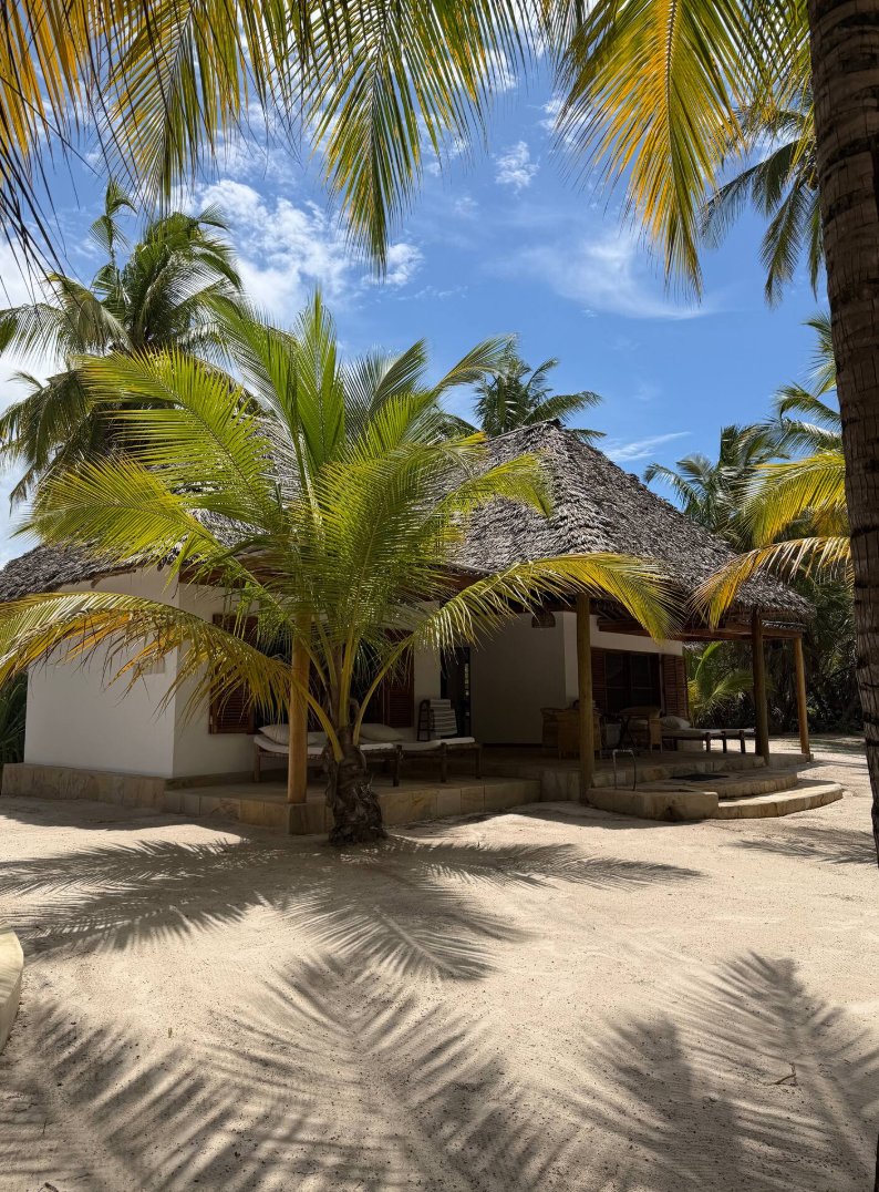 A tropical cottage surrounded by palm trees under a blue sky, with sandy ground and shadows of palm leaves.