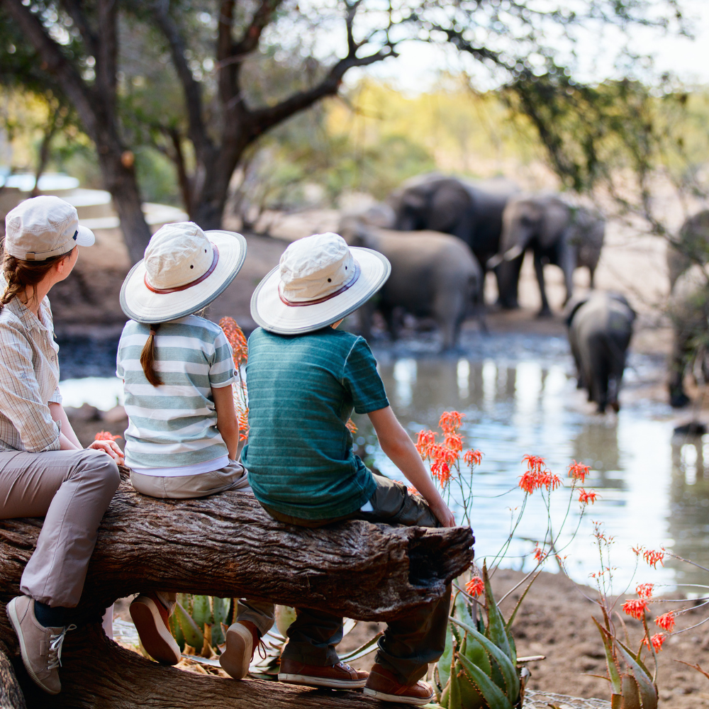 Three children and an adult sitting on a log by a river, watching elephants in the background, in a zoo or wildlife reserve.