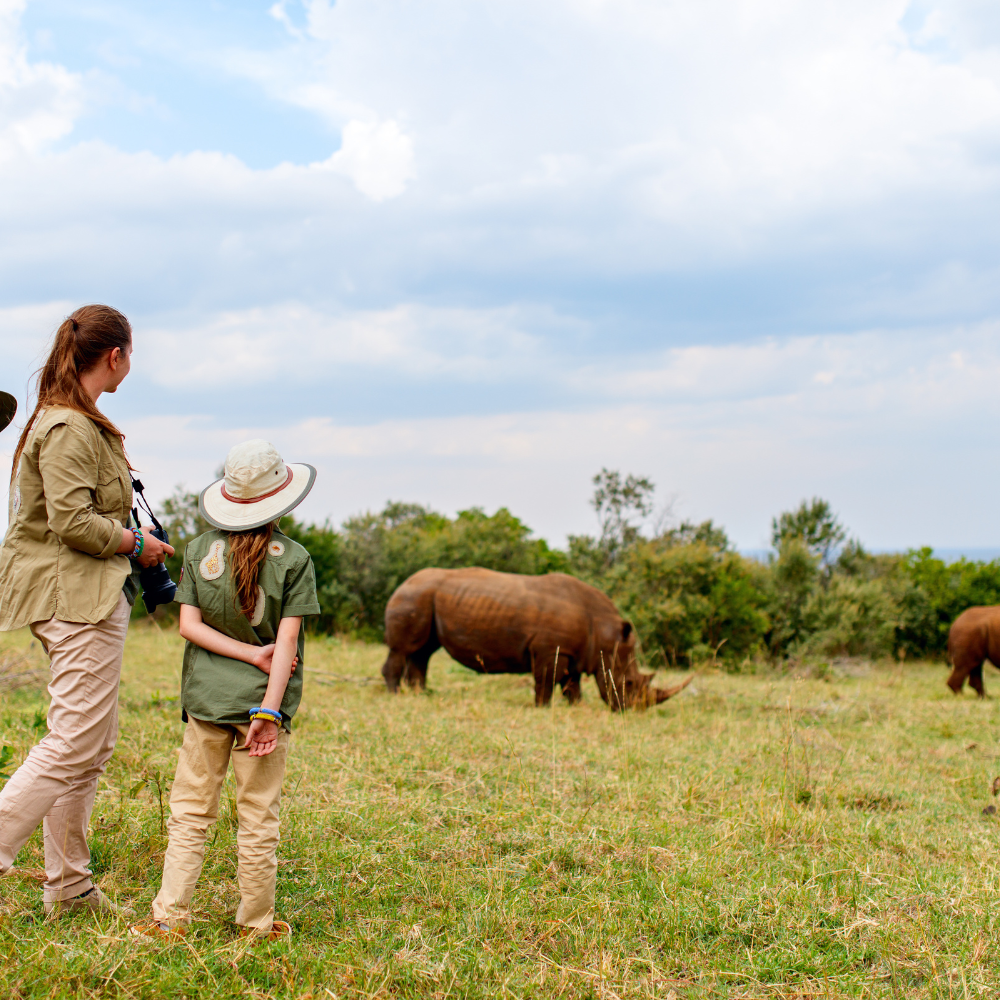 Two women and a girl observing a rhinoceros in a grassy field with trees and a cloudy sky in the background.