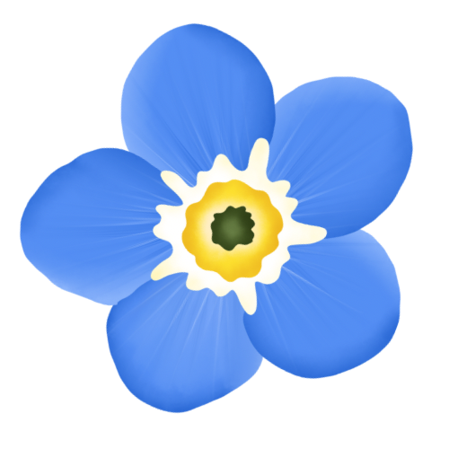 Geometric drawing of an outline square with sections divided by vertical, horizontal, and half circle lines.