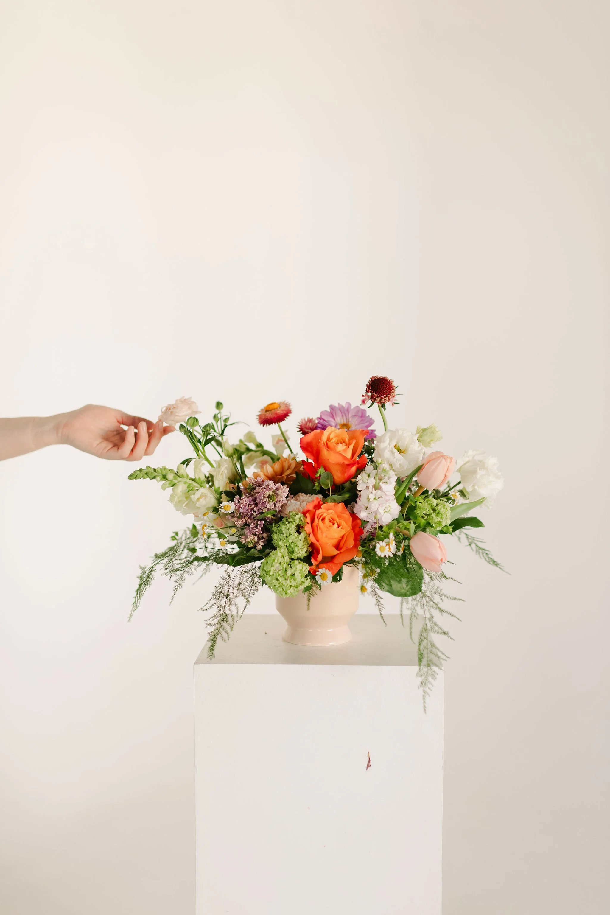 Stephanie-Parsley-Photography-Kara-Kara-Blooms_11.JPG
