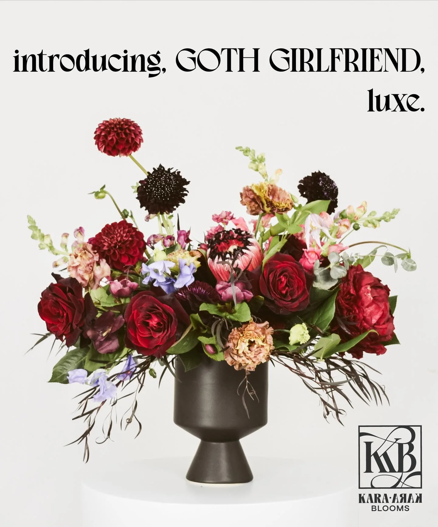 Do you have a goth girlfriend or are you the goth girlfriend? 🦇 

Either way 🥀 
Goth Girlfriend for Valentine&rsquo;s Day 😎
Link in bio

#denverflorist #valentinesday #gothgirlfriend