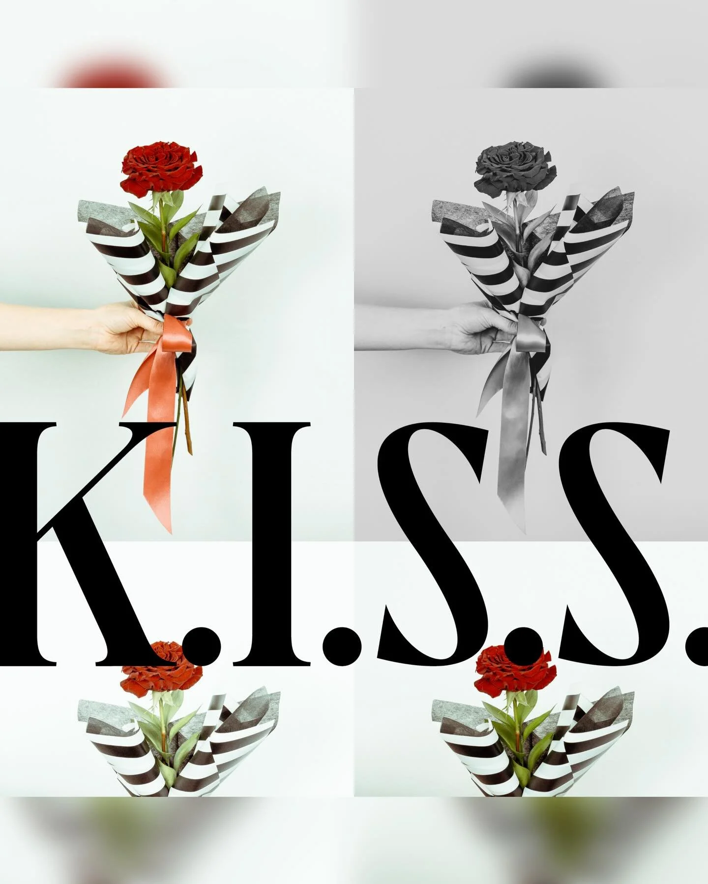 Valentine&rsquo;s Day doesn&rsquo;t need to be complicated🌹

K.I.S.S. Rose Collection
The classic choice, done right.

Available in any rose color.
Designed with a paper wrap or in a vase.

Keep it simple 😘
 #denver #valentinesday #florist