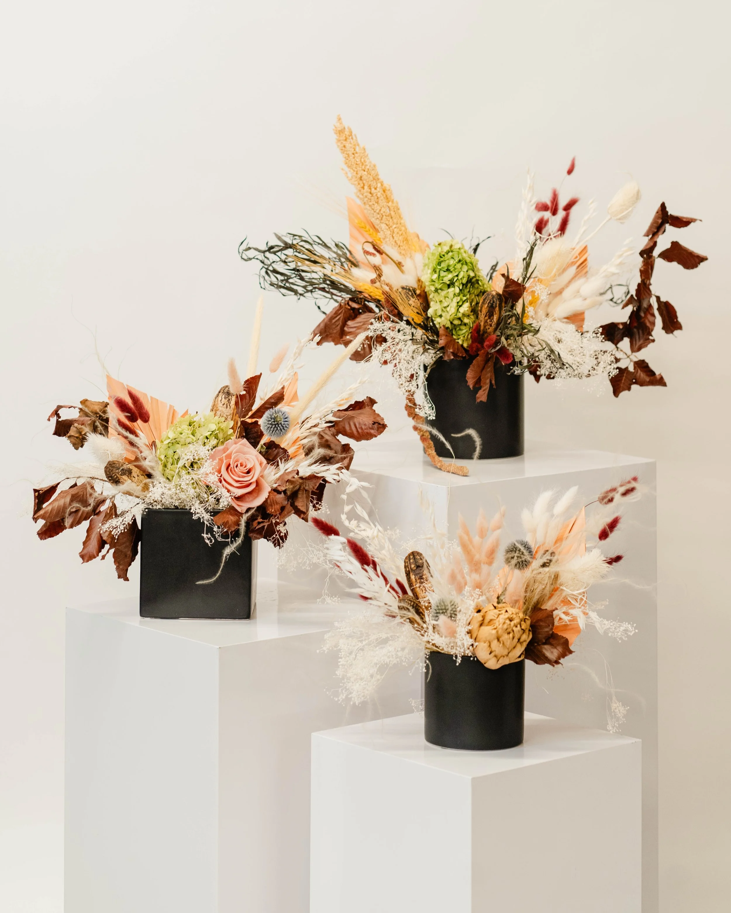 WORKSHOP ALERT! Join KaraKara Blooms for a Dried Flower Arrangement workshop! Kick off spooky season with an evening of creativity, flowers and fun! 

Link in bio to get tickets! 

#karakarablooms #workshop #flowerworkshop #driedflowers #denver