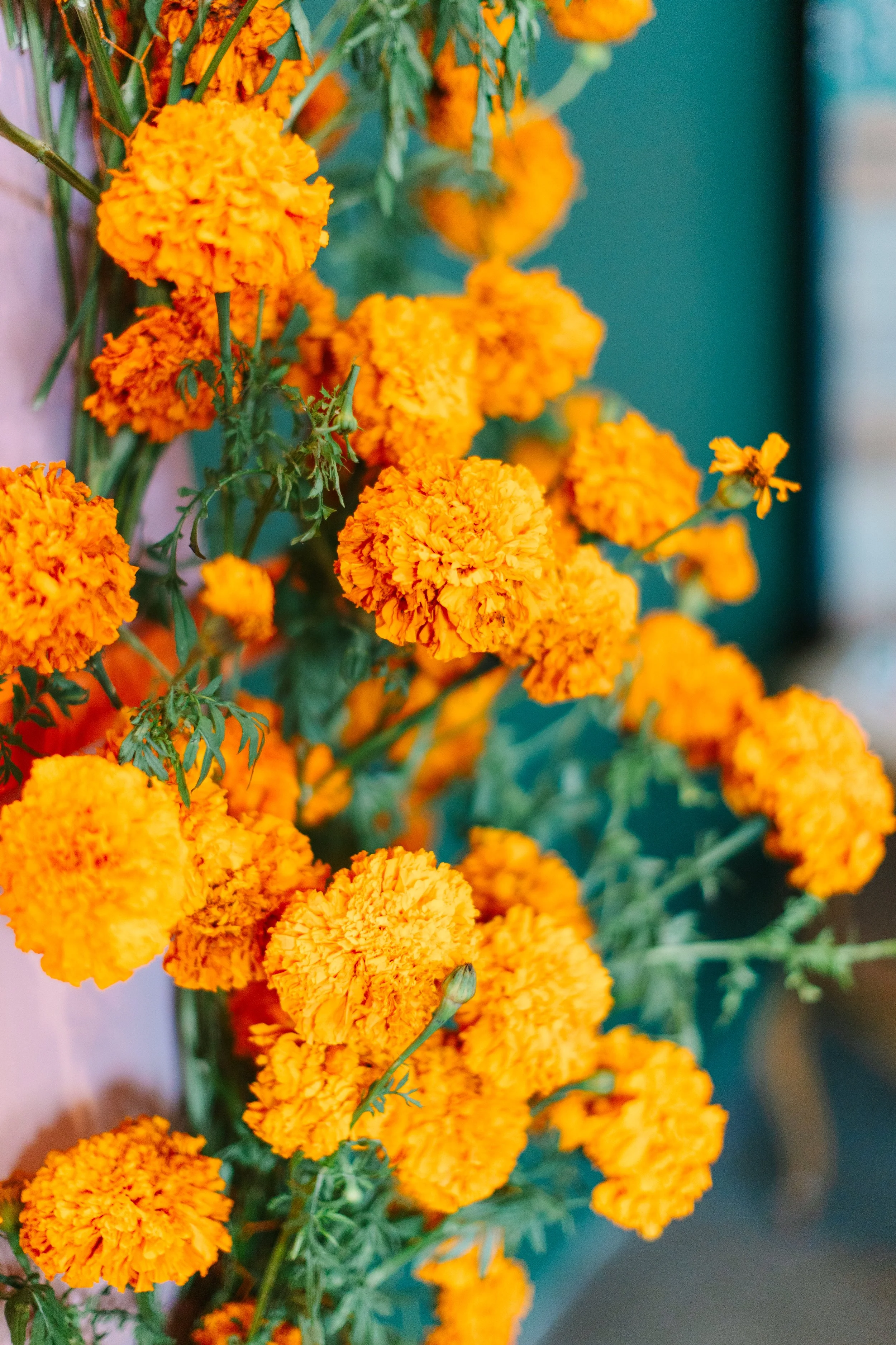 Jenna+Jordan-TownHallCollaborativeWedding-261.jpg