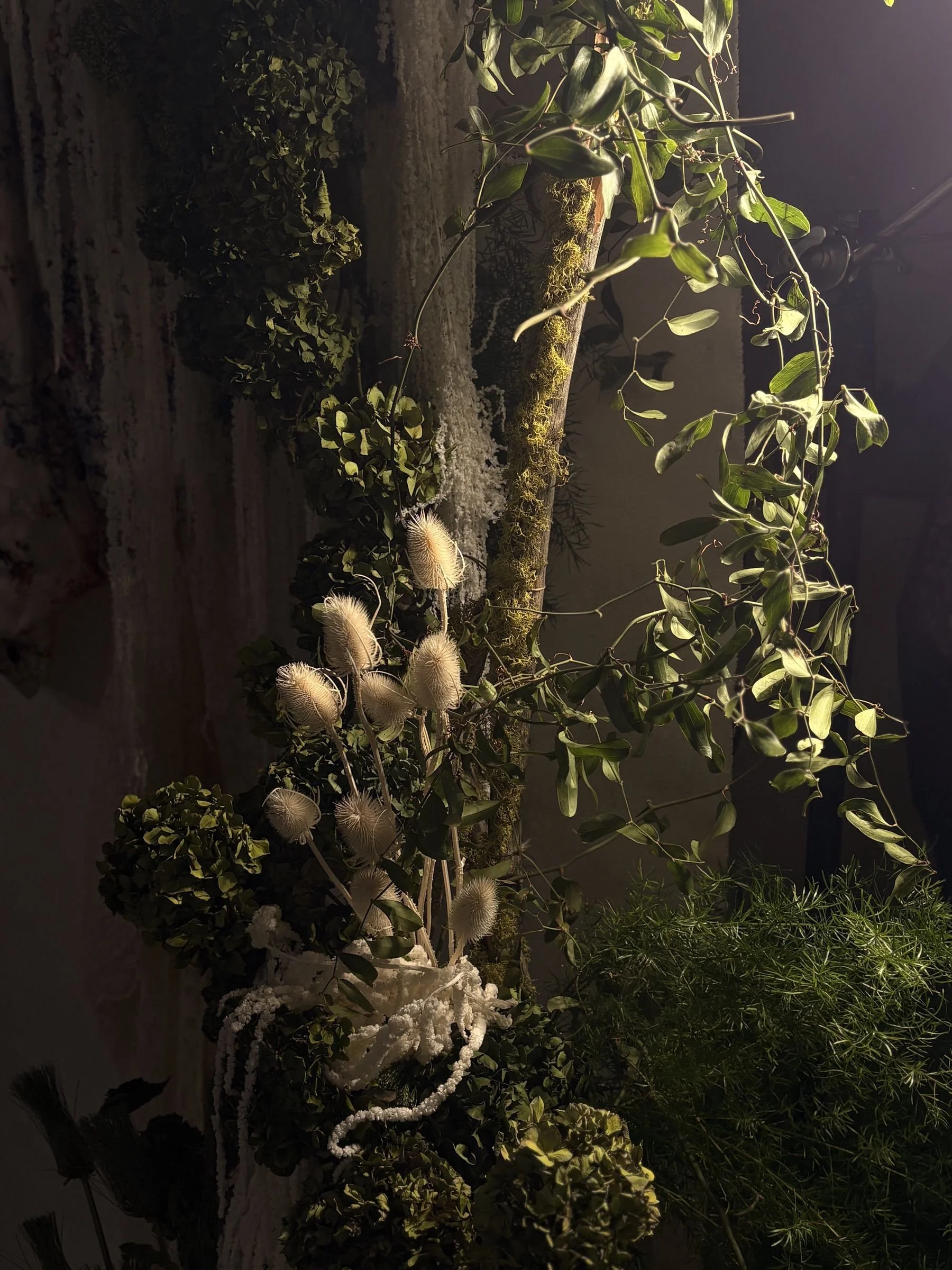 A collection of various plants and flowers arranged indoors, including a moss-covered branch, white fluffy flowers, and green foliage, illuminated by warm lighting.