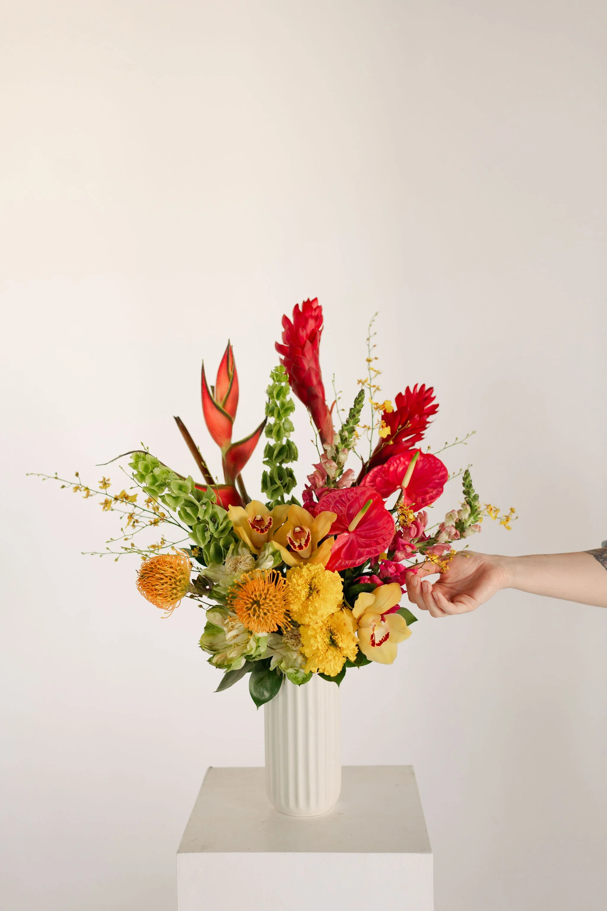Stephanie-Parsley-Photography-Kara-Kara-Blooms_40.JPG