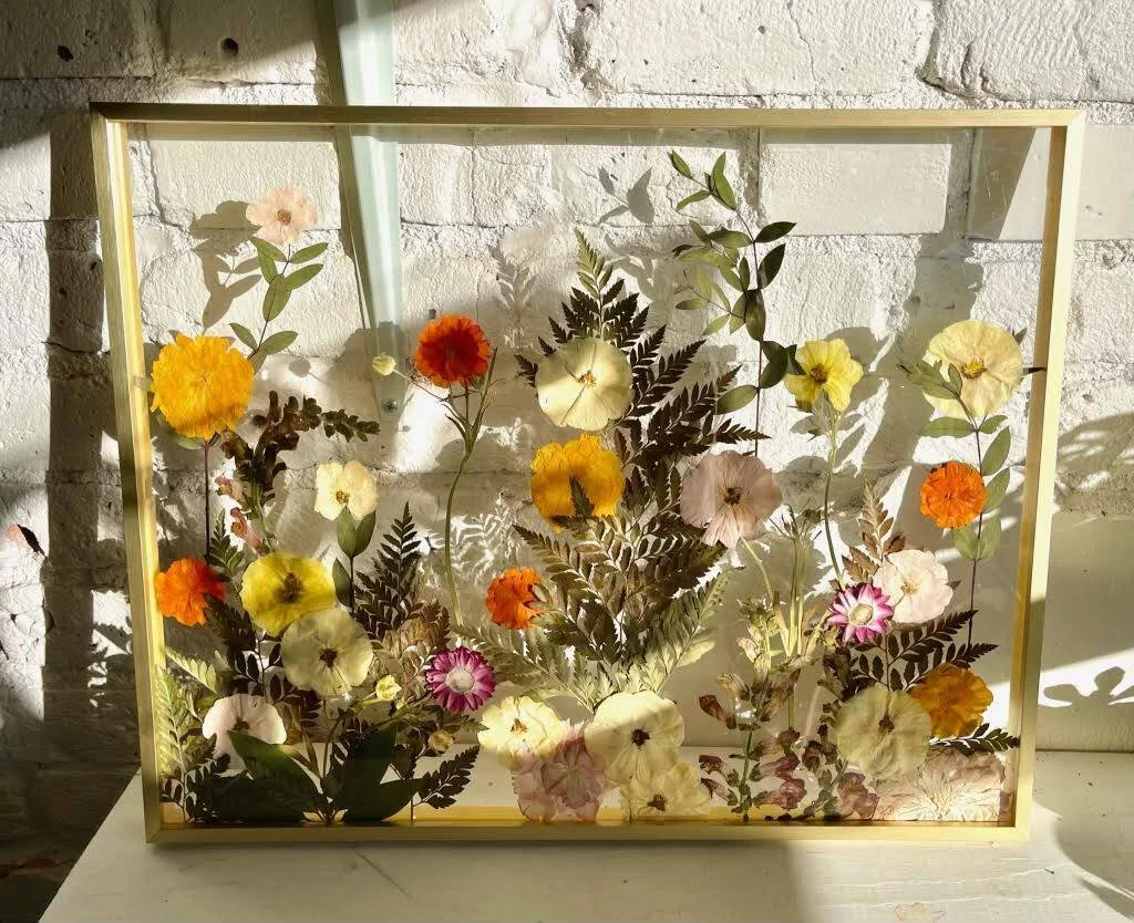 A shadow box display featuring pressed flowers and foliage, arranged behind glass, with sunlight casting shadows on a white brick wall.