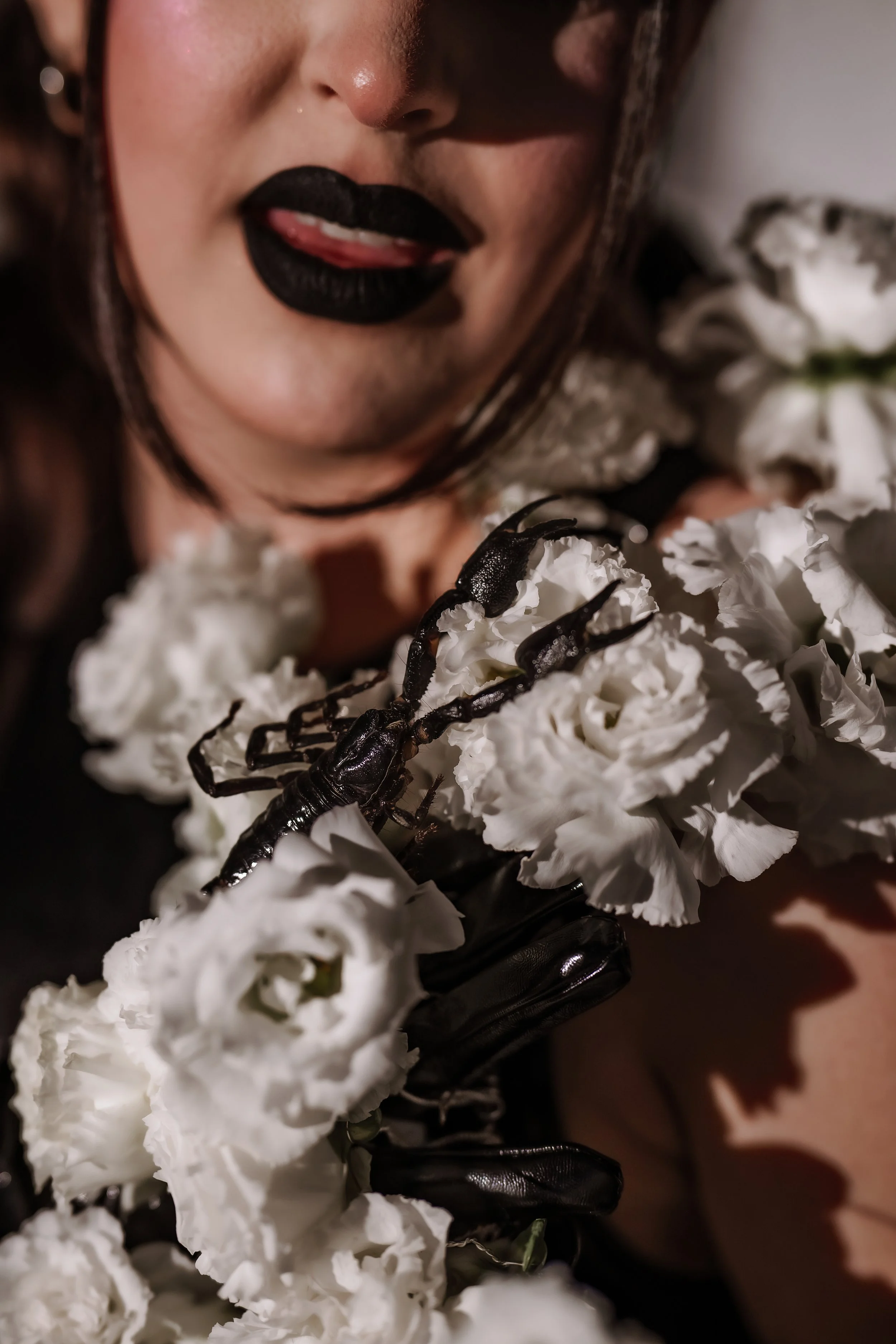DSC_6107-Edit.jpg
