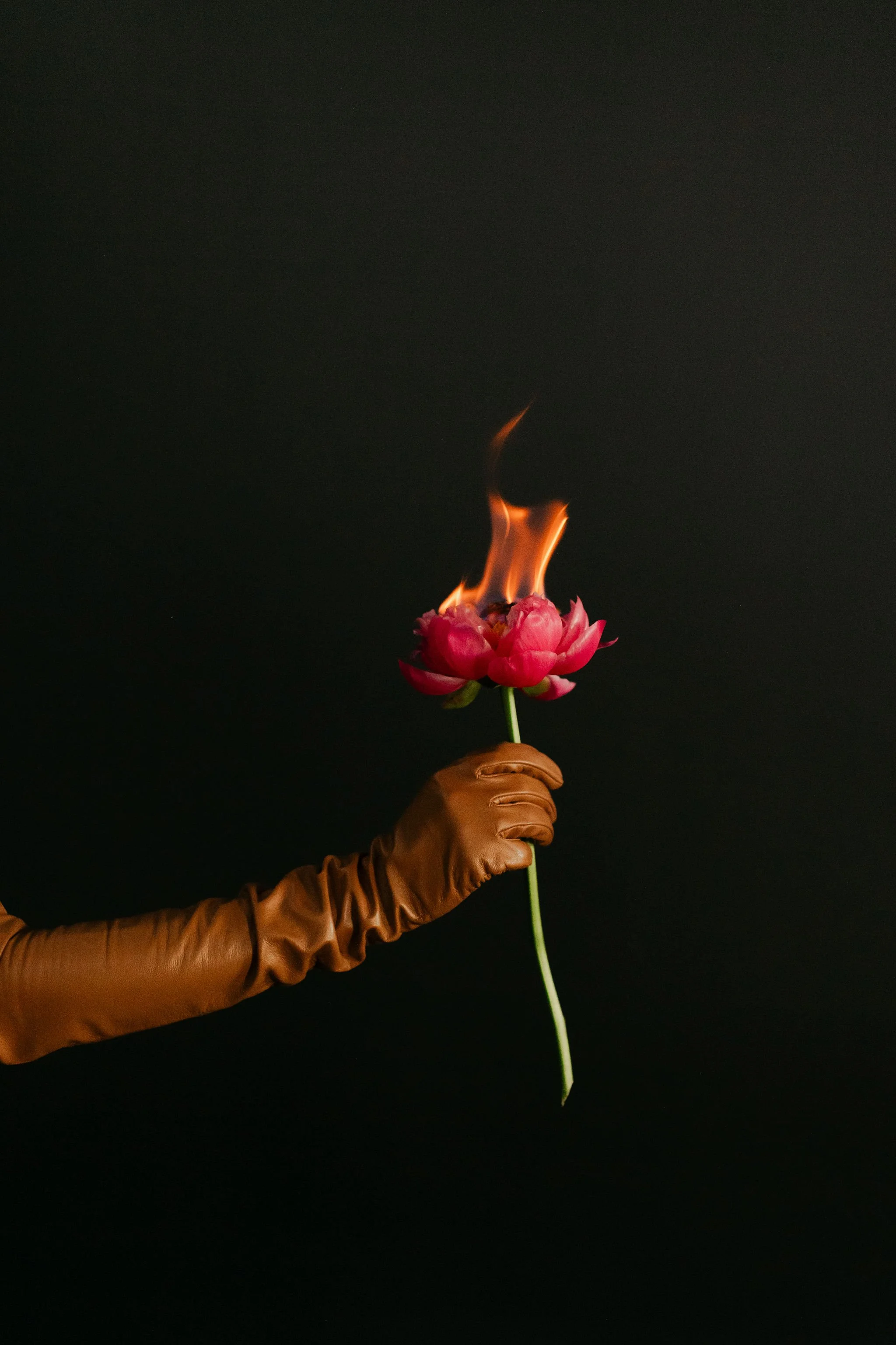 Stephanie-Parsley-Photography-Kara-Kara-Blooms_235.JPG