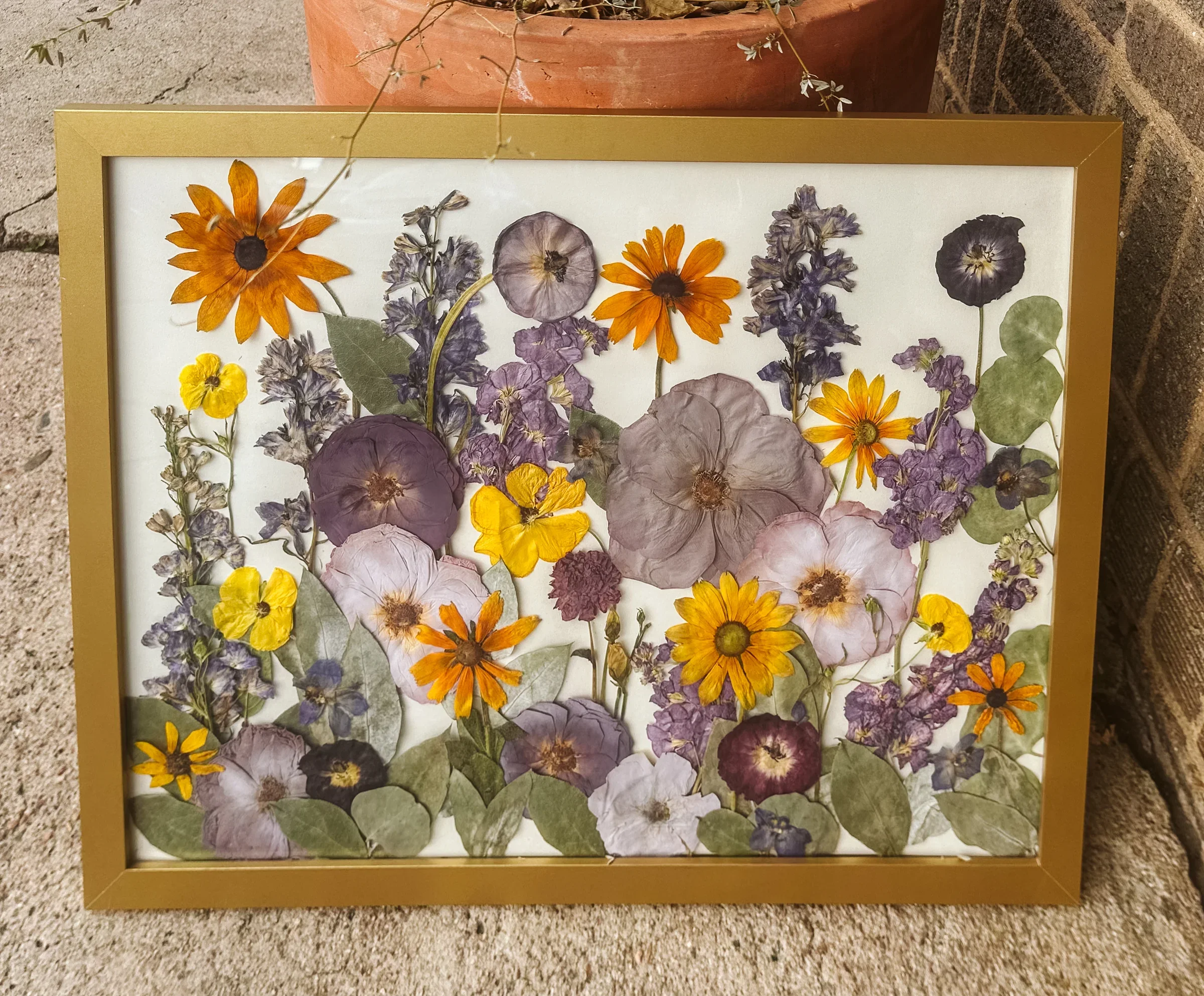 A framed artwork of pressed and dried flowers including daisies, pansies, and other wildflowers, arranged on a white background with a gold frame.