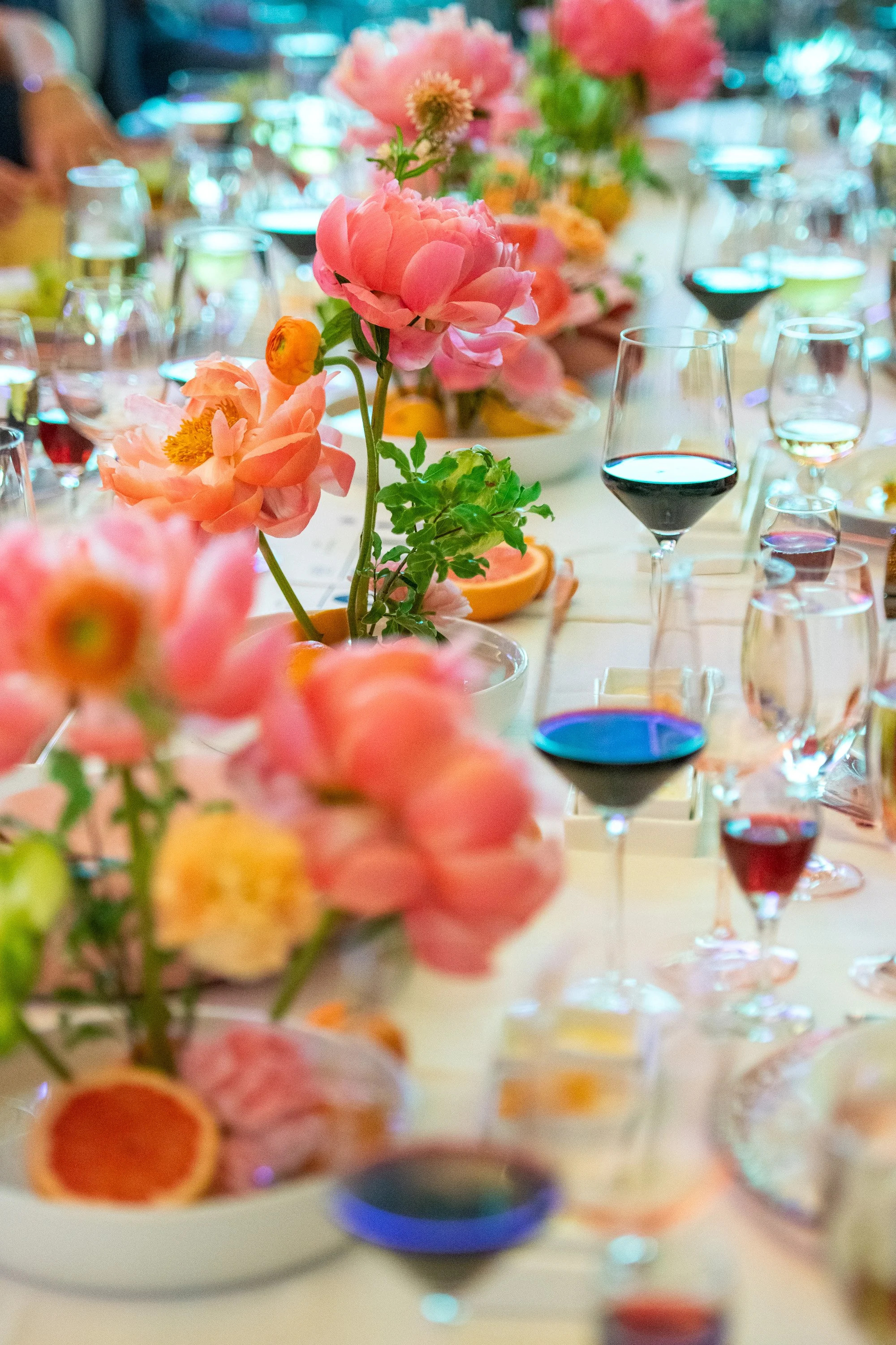 54598531070_1256473fc0_o (1).jpg