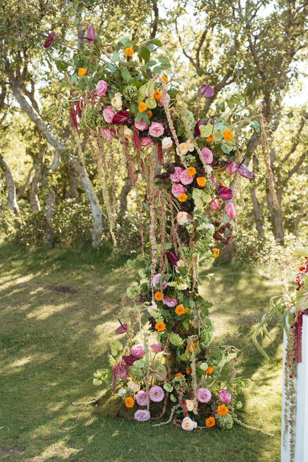 A floral wedding arch decorated with pink, white, and purple flowers, greenery, and hanging floral arrangements, set outdoors with trees and sunlight in the background.