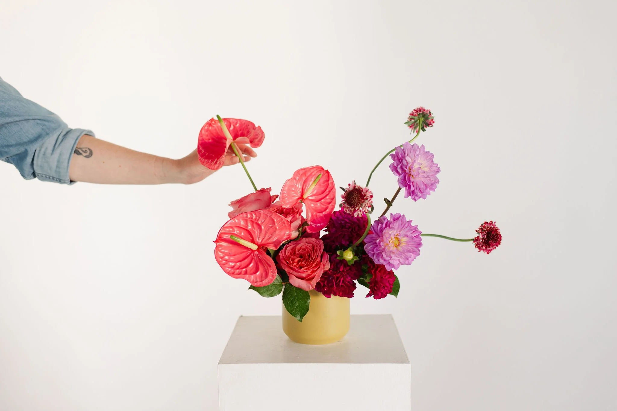 Stephanie-Parsley-Photography-Kara-Kara-Blooms_58.JPG