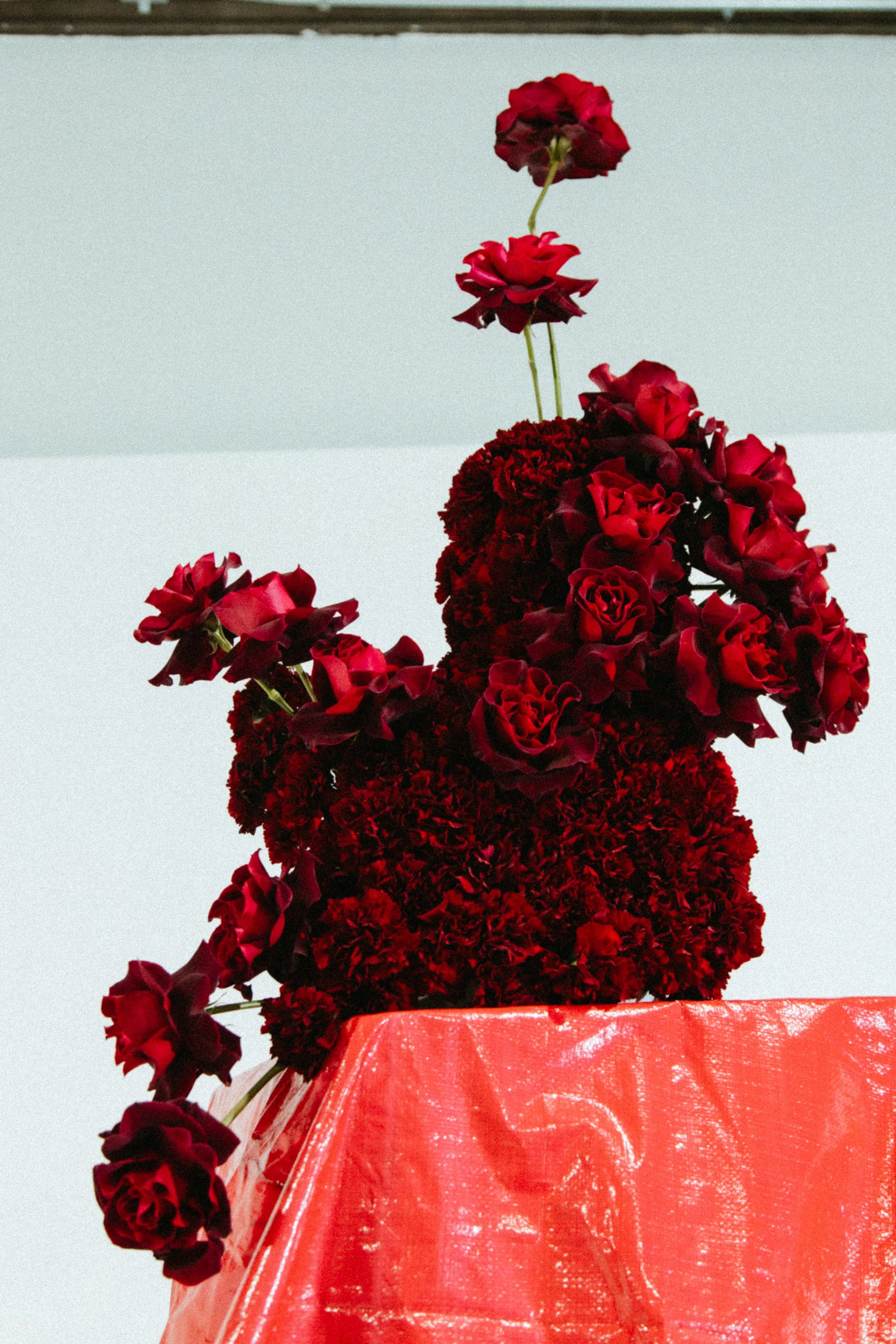 a Black male model in a dark suit against a background of white with a red backdrop and red carnations and roses