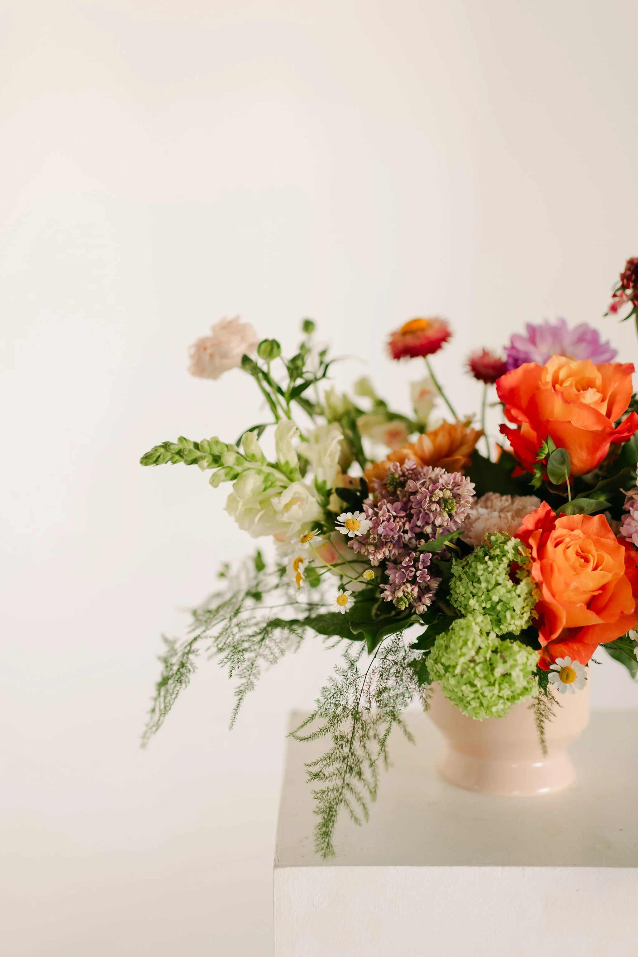 Stephanie-Parsley-Photography-Kara-Kara-Blooms_08.JPG
