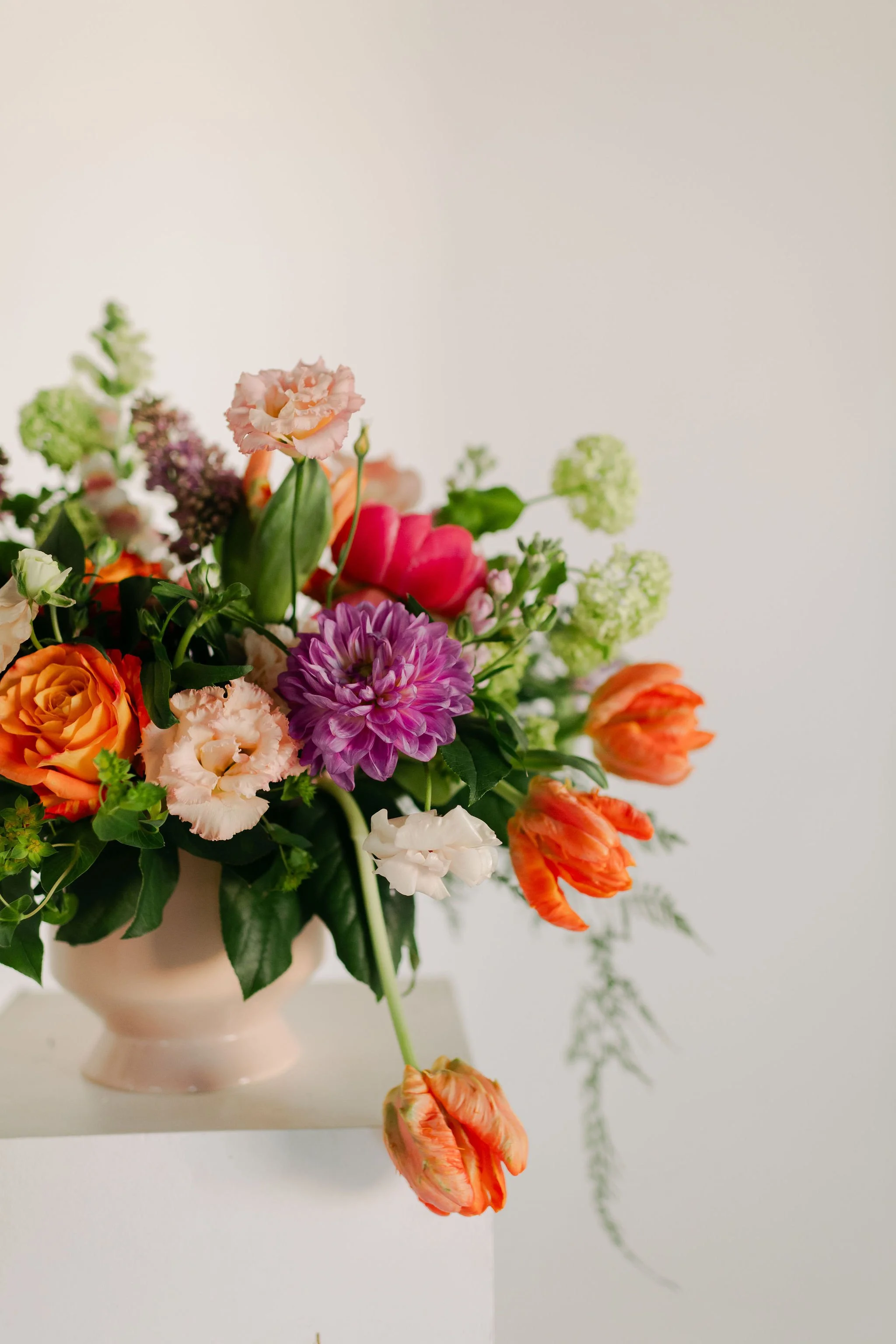 Stephanie-Parsley-Photography-Kara-Kara-Blooms_03.JPG