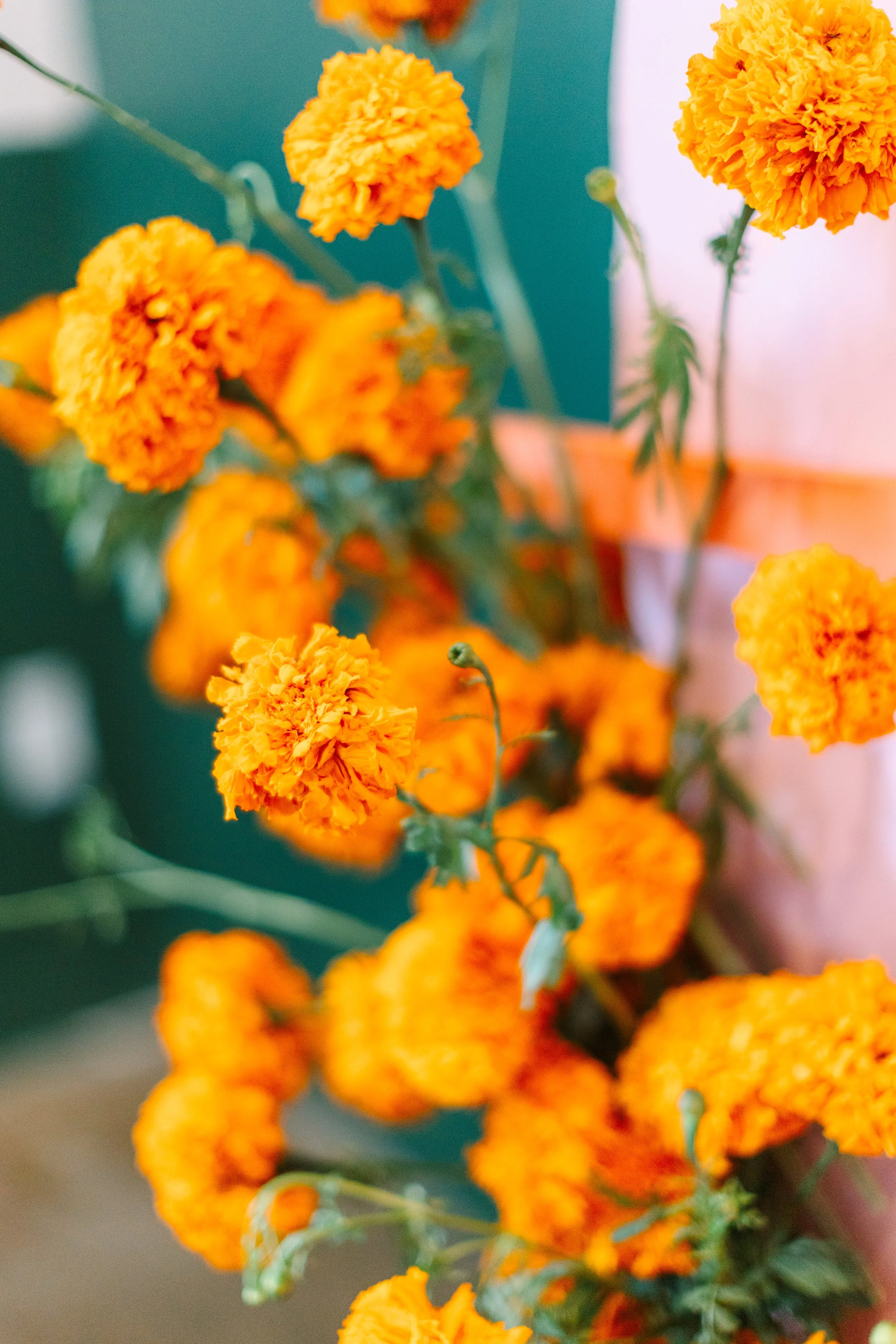Jenna+Jordan-TownHallCollaborativeWedding-259.jpg