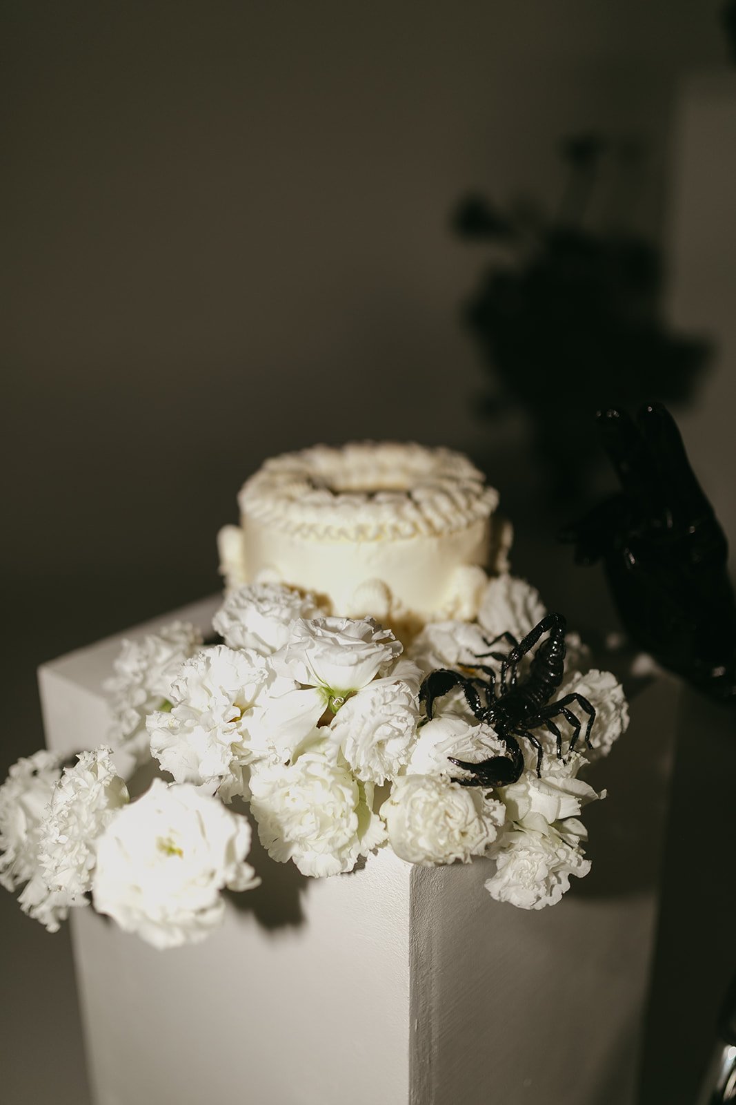 scorpio (3 of 72).jpg