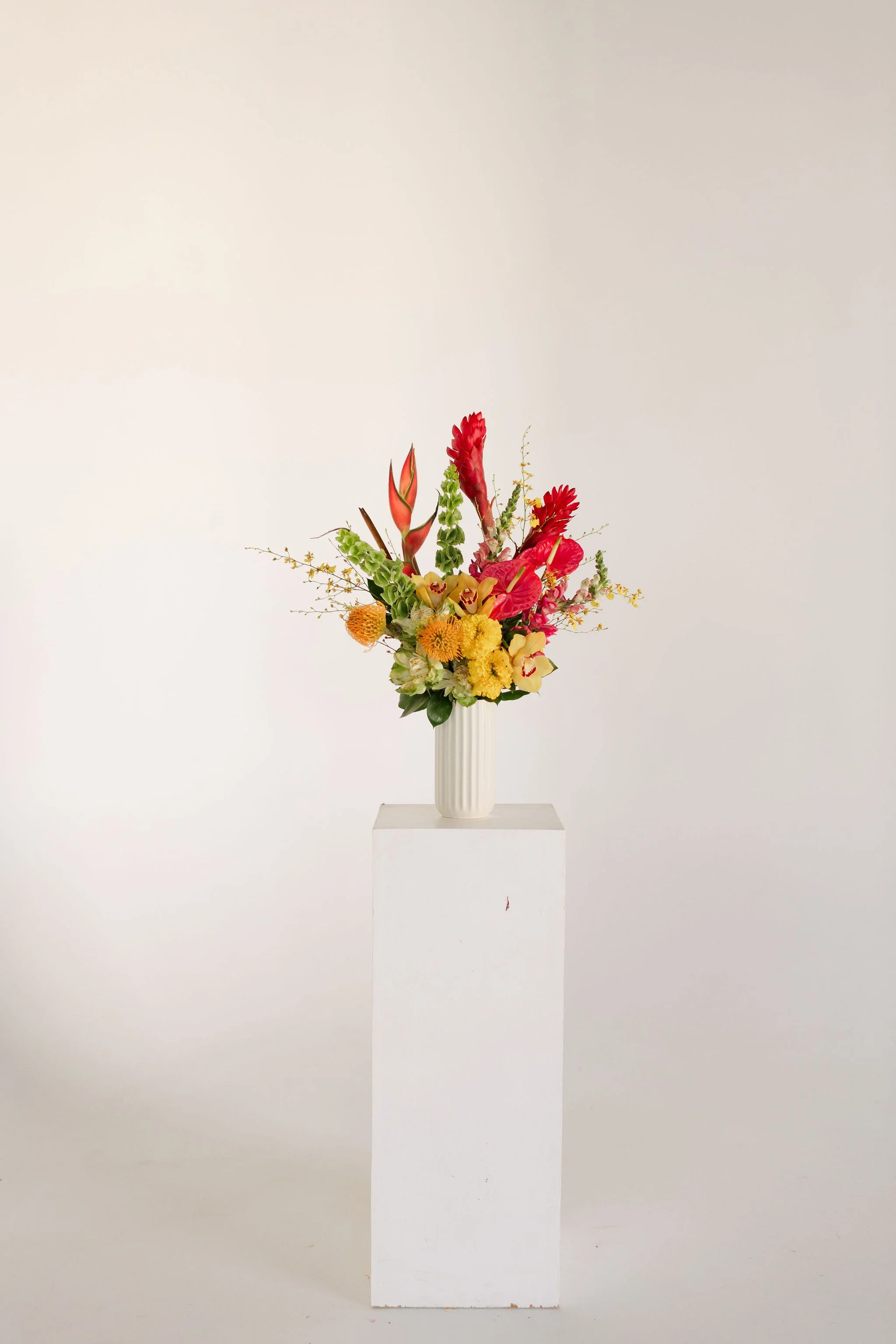 Stephanie-Parsley-Photography-Kara-Kara-Blooms_38.JPG
