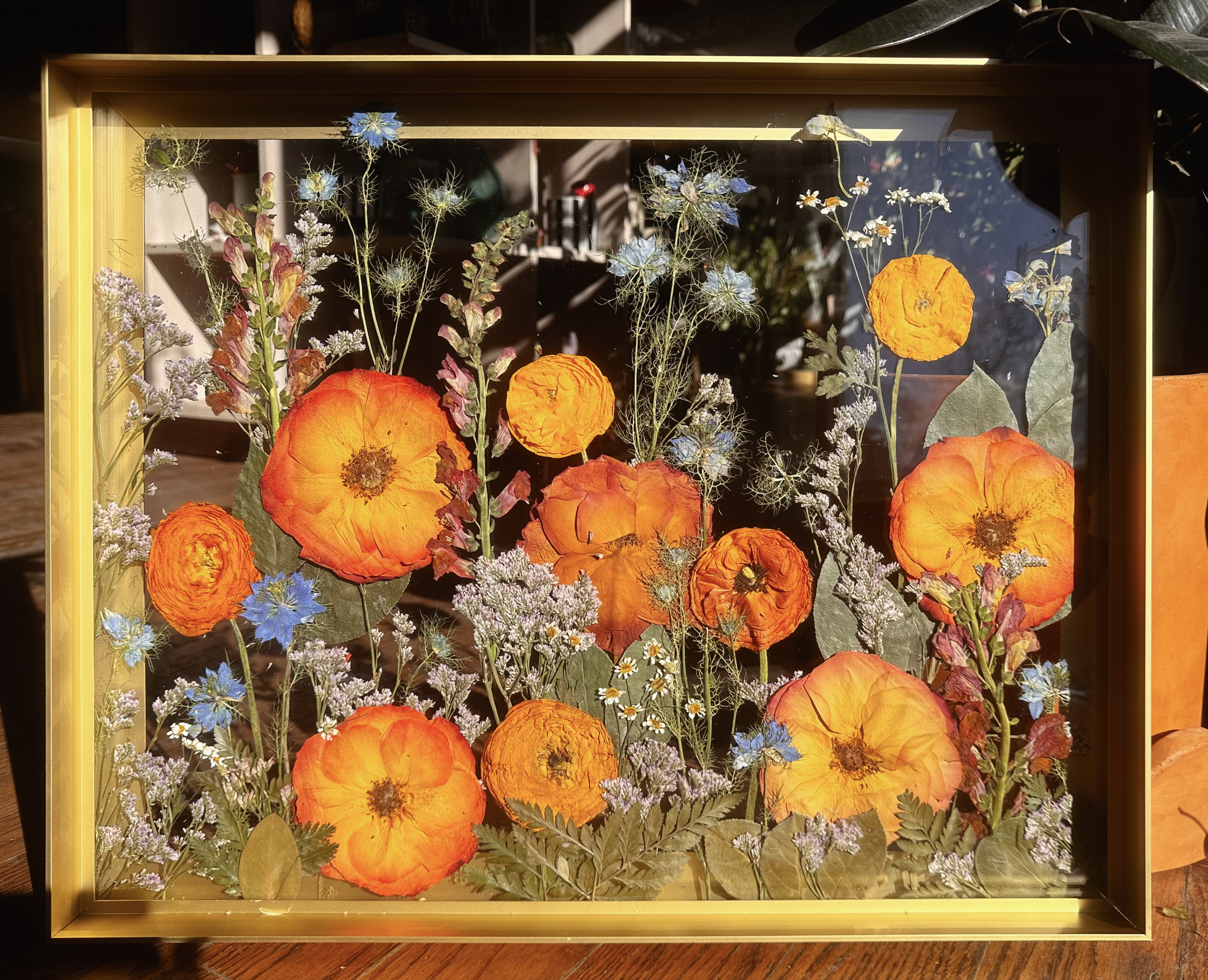 Pressed orange and blue flowers arranged in a glass display case
