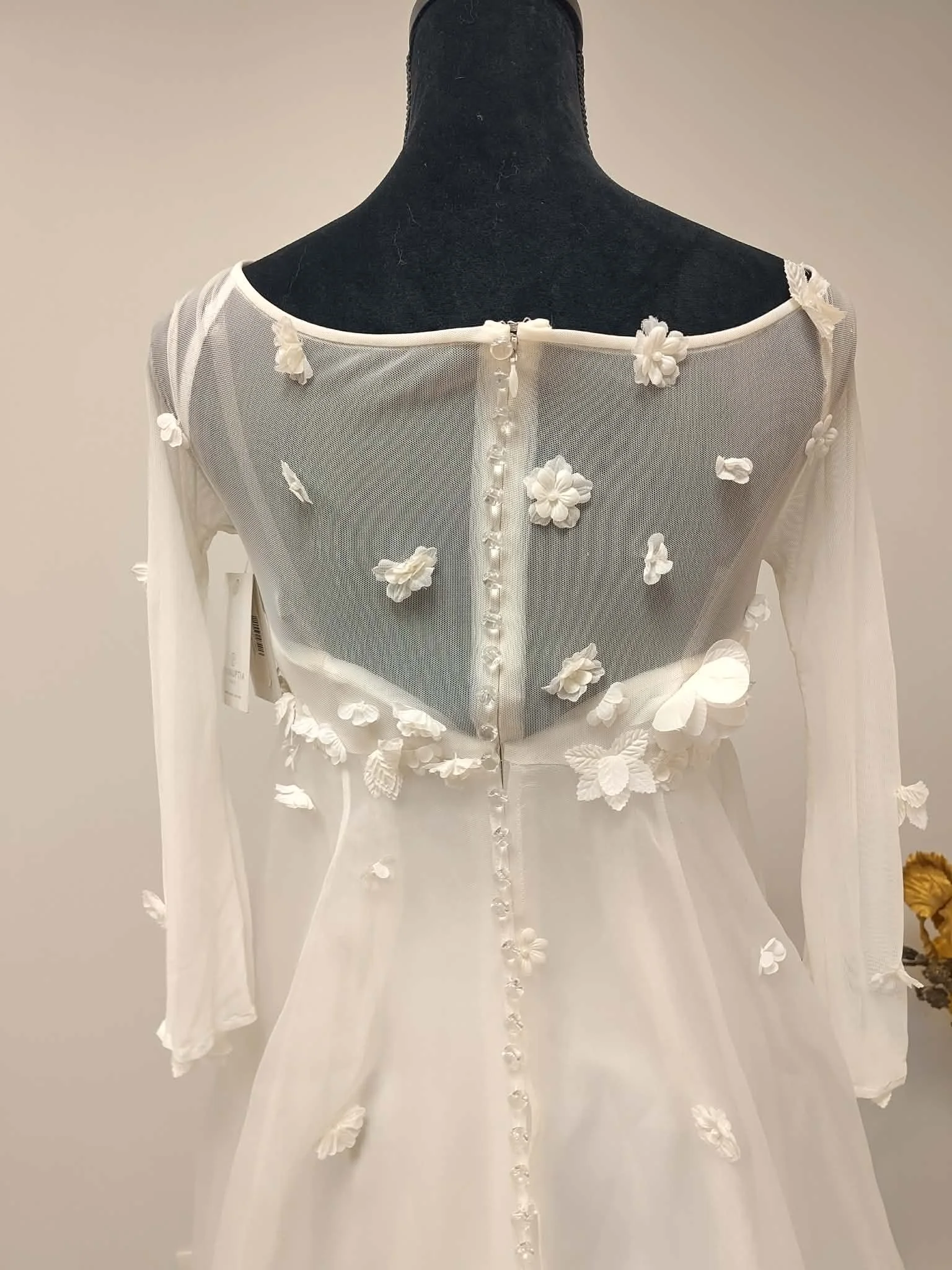 D0154 - 4 derrière.jfif