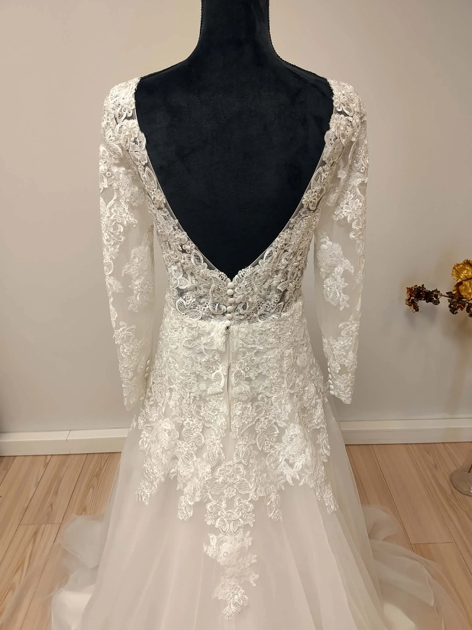 O0076 - 4 derrière.jfif