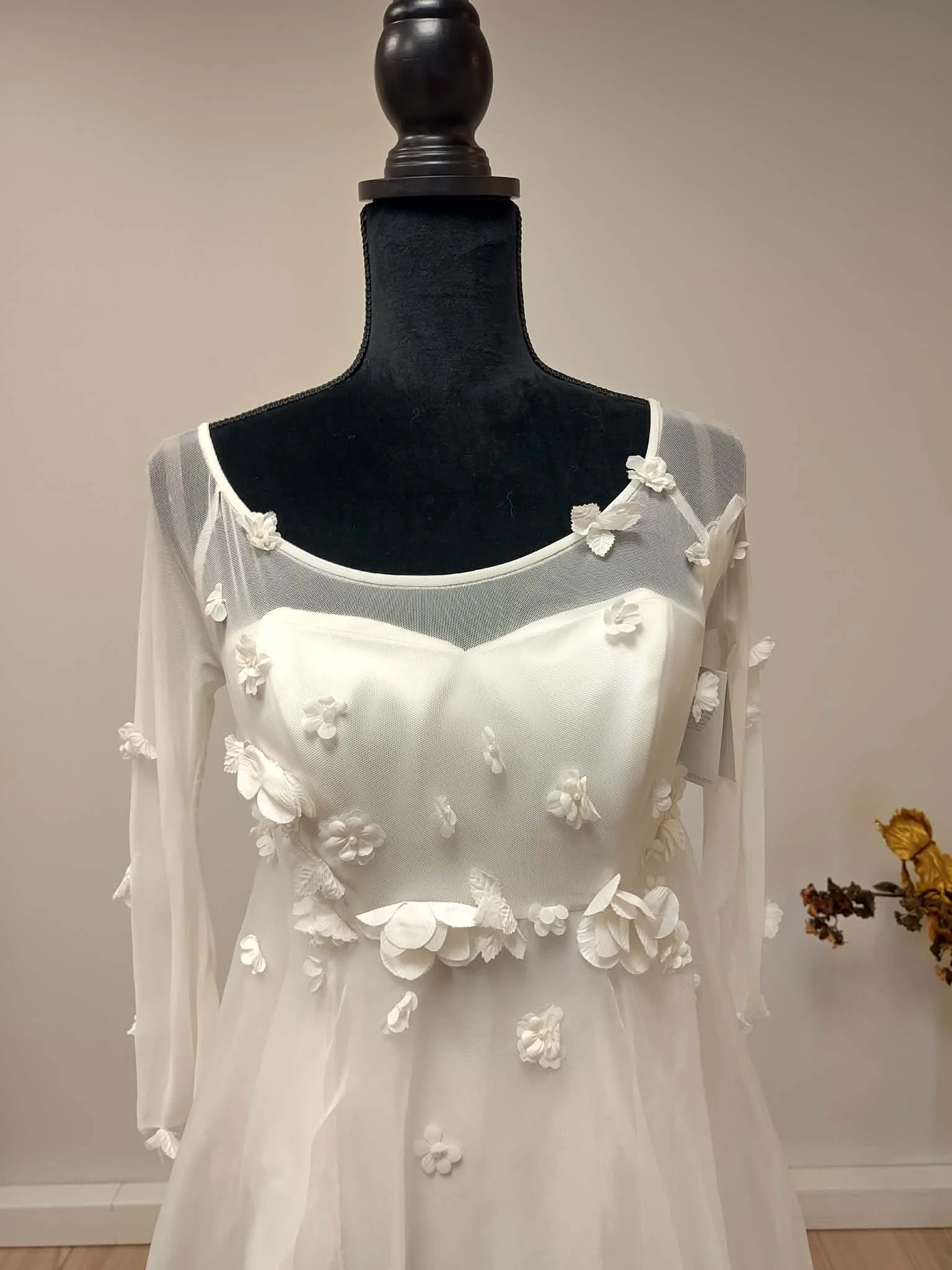 D0154 - 2 devant.jfif