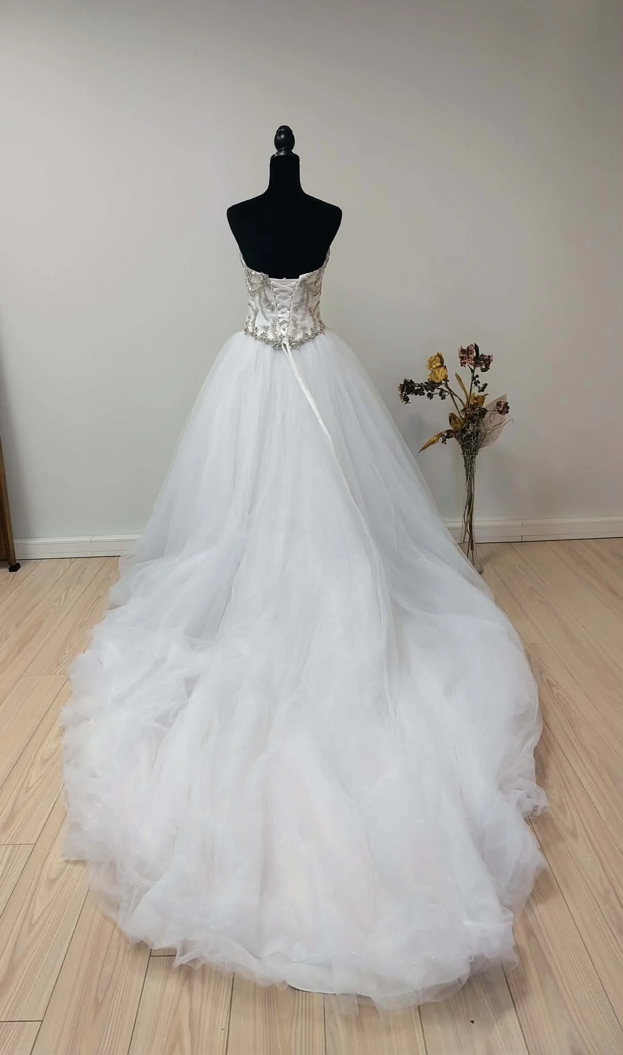 D0151 - 3 derrière.jfif