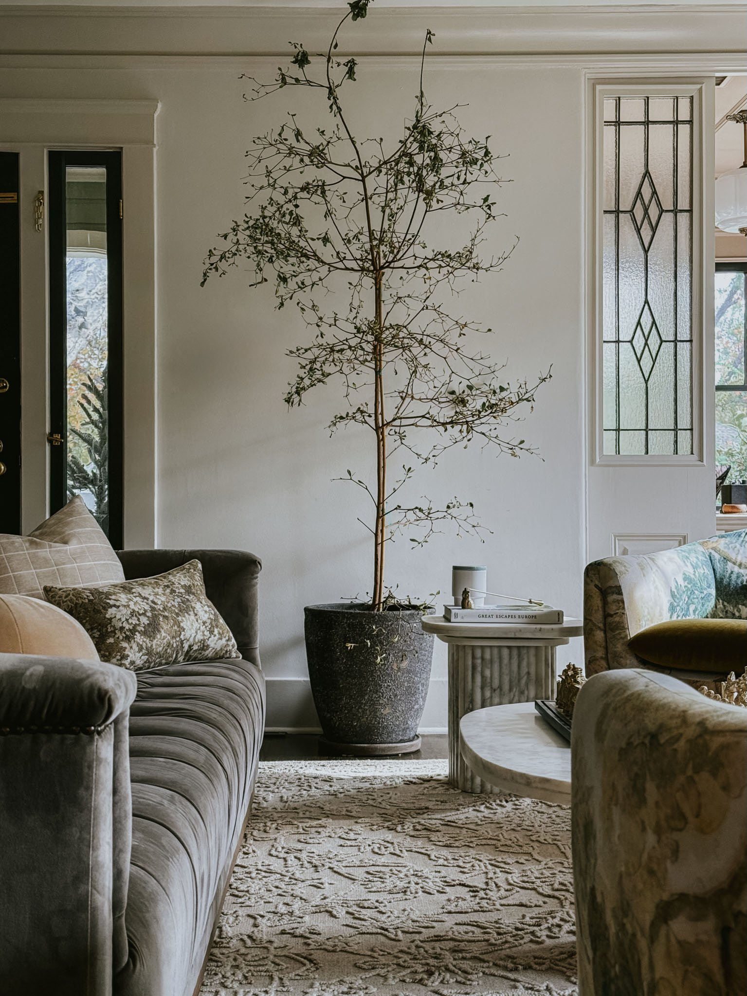 Living room with a tall, bare indoor plant in a large black pot, flanked by two sofas and a small marble-topped side table.