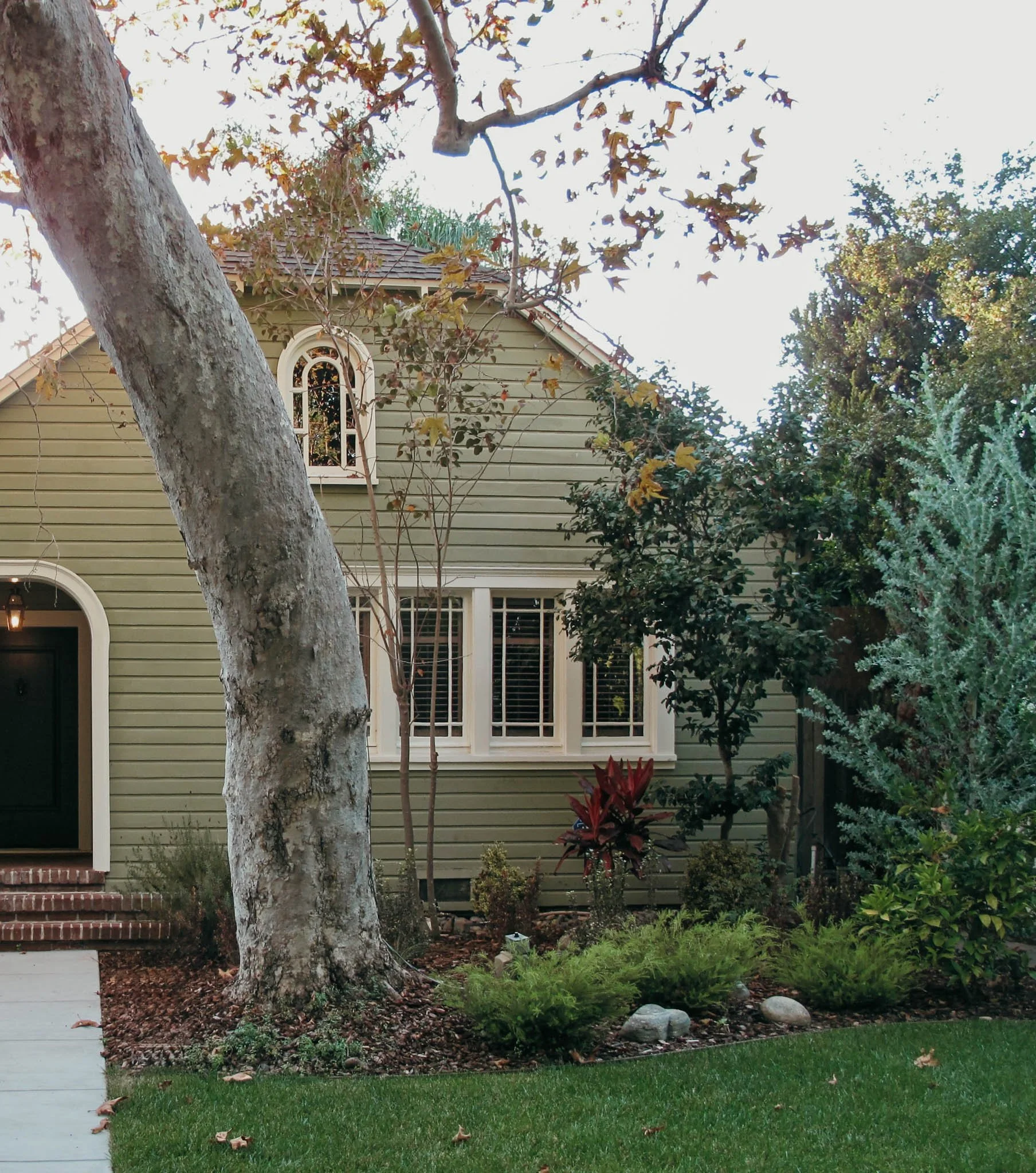 Front yard view of a house with beige siding, white framing around windows, and a black door. There is a large tree with a textured trunk and fallen leaves, shrubbery, and green plants in the garden bed in front of the house. The grass is well-mainta