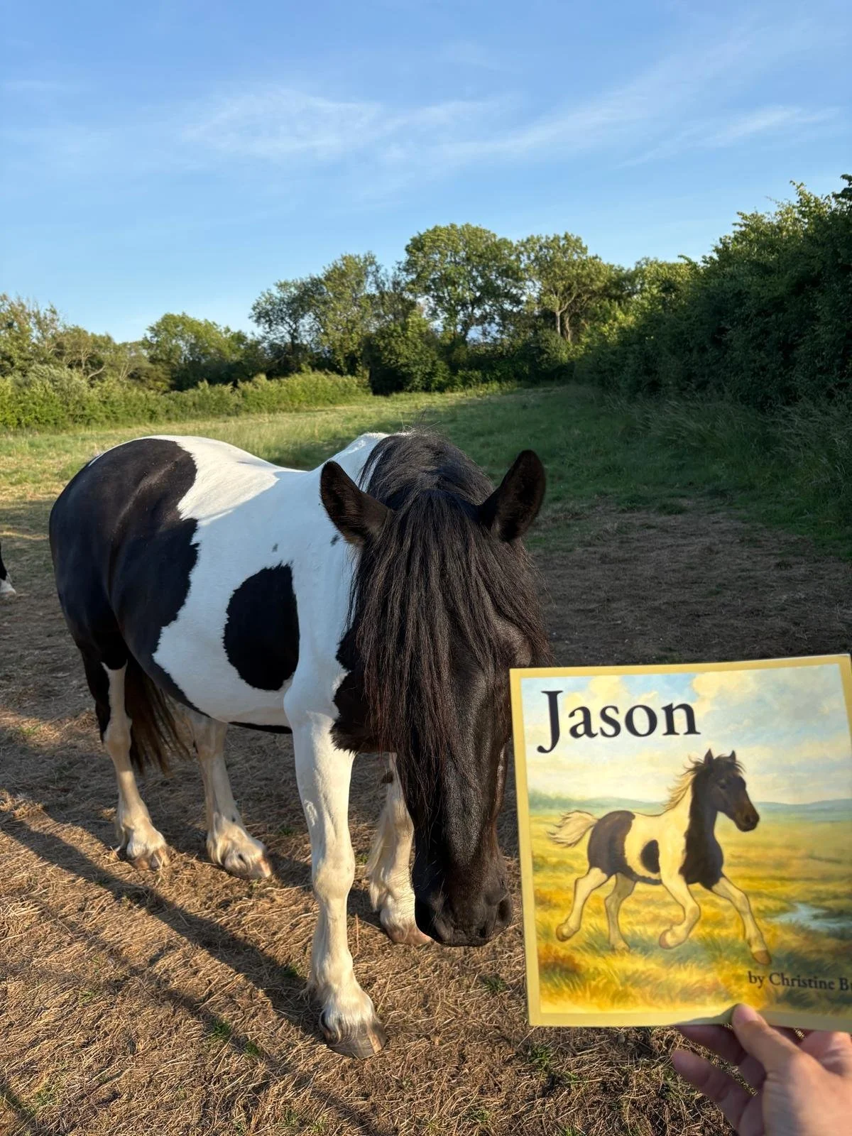 WhatsApp Image 2026-01-19 at 18.48.55.jpeg