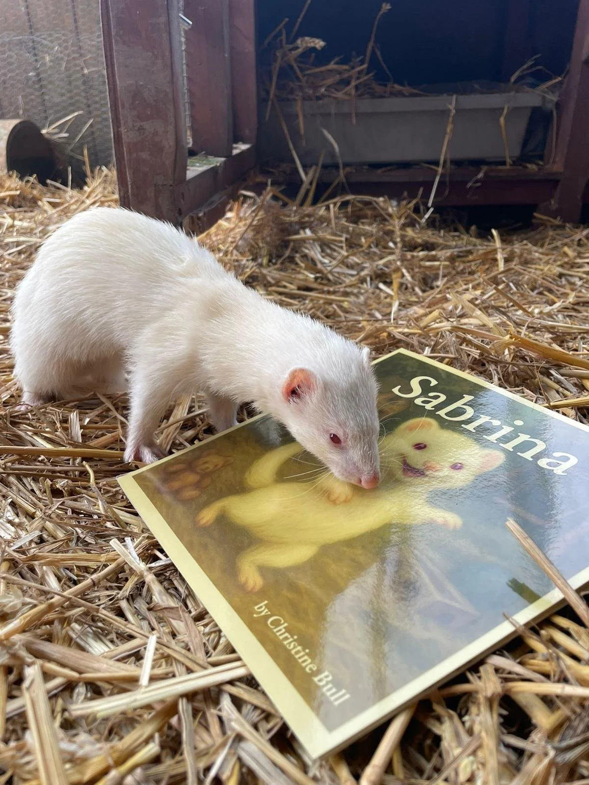 WhatsApp Image 2026-01-19 at 18.48.11.jpeg